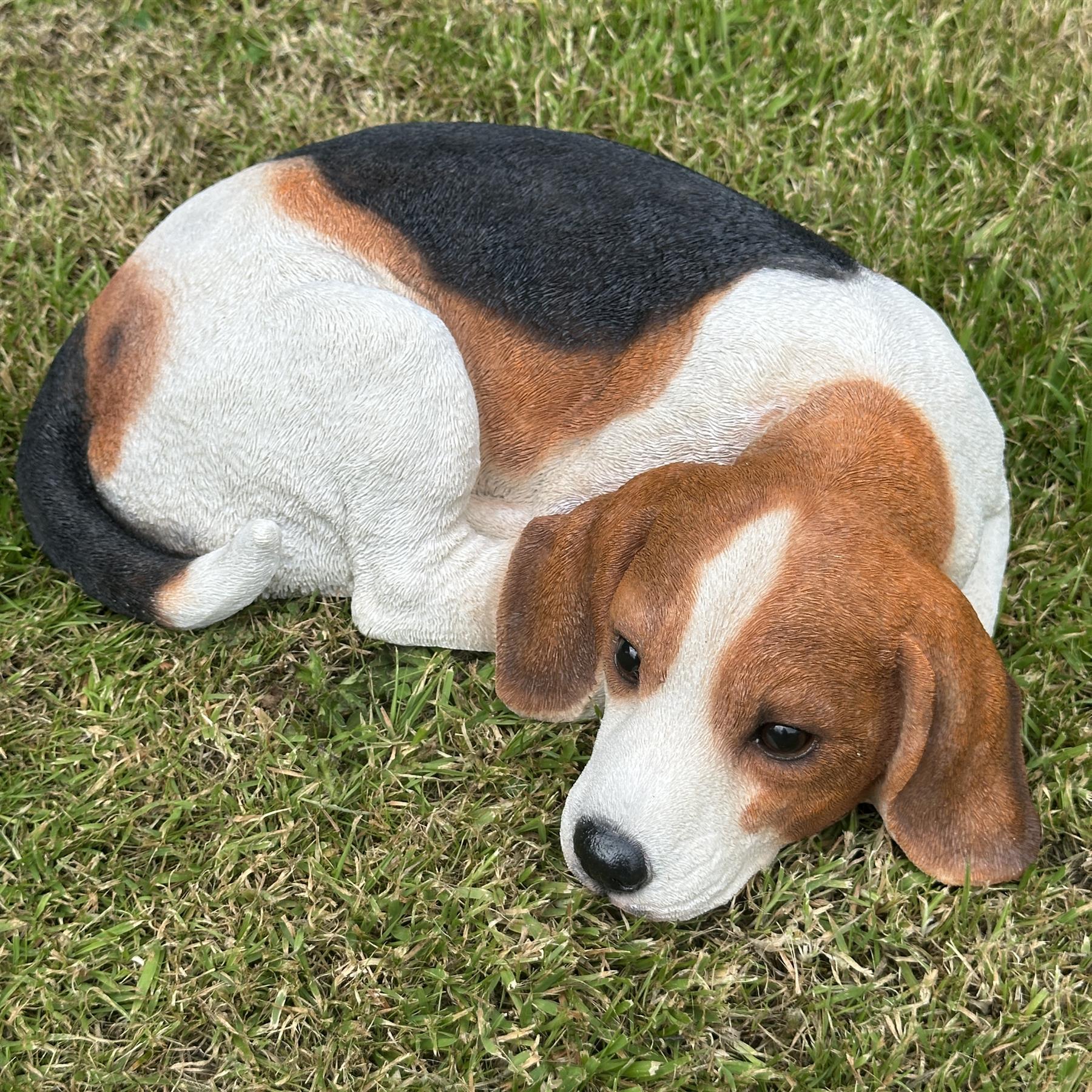 Large (38cm) realistic laying Beagle Dog figurine