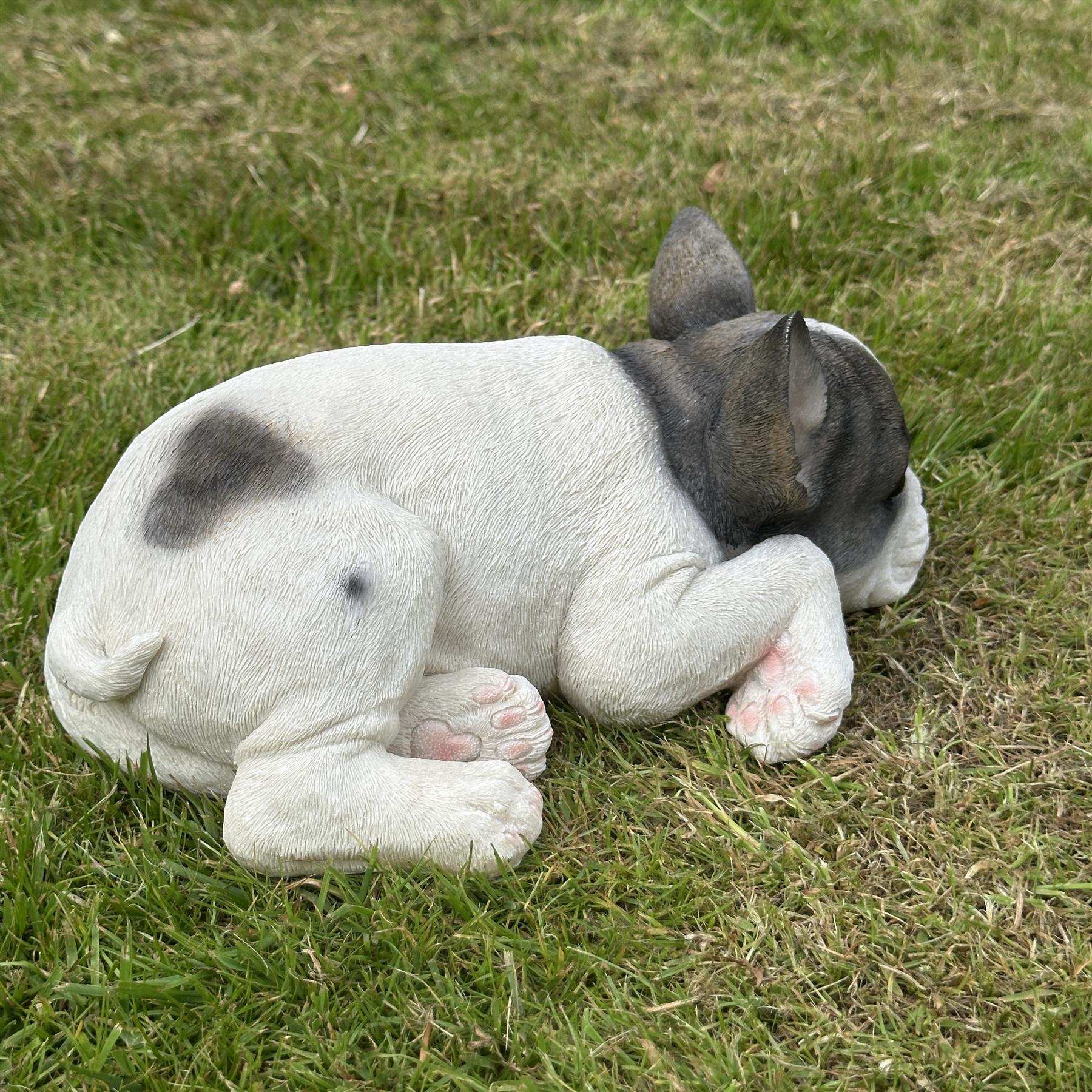 Realistic Black & White laying French Bulldog figurine home or garden decoration, pet loss gift or memorial