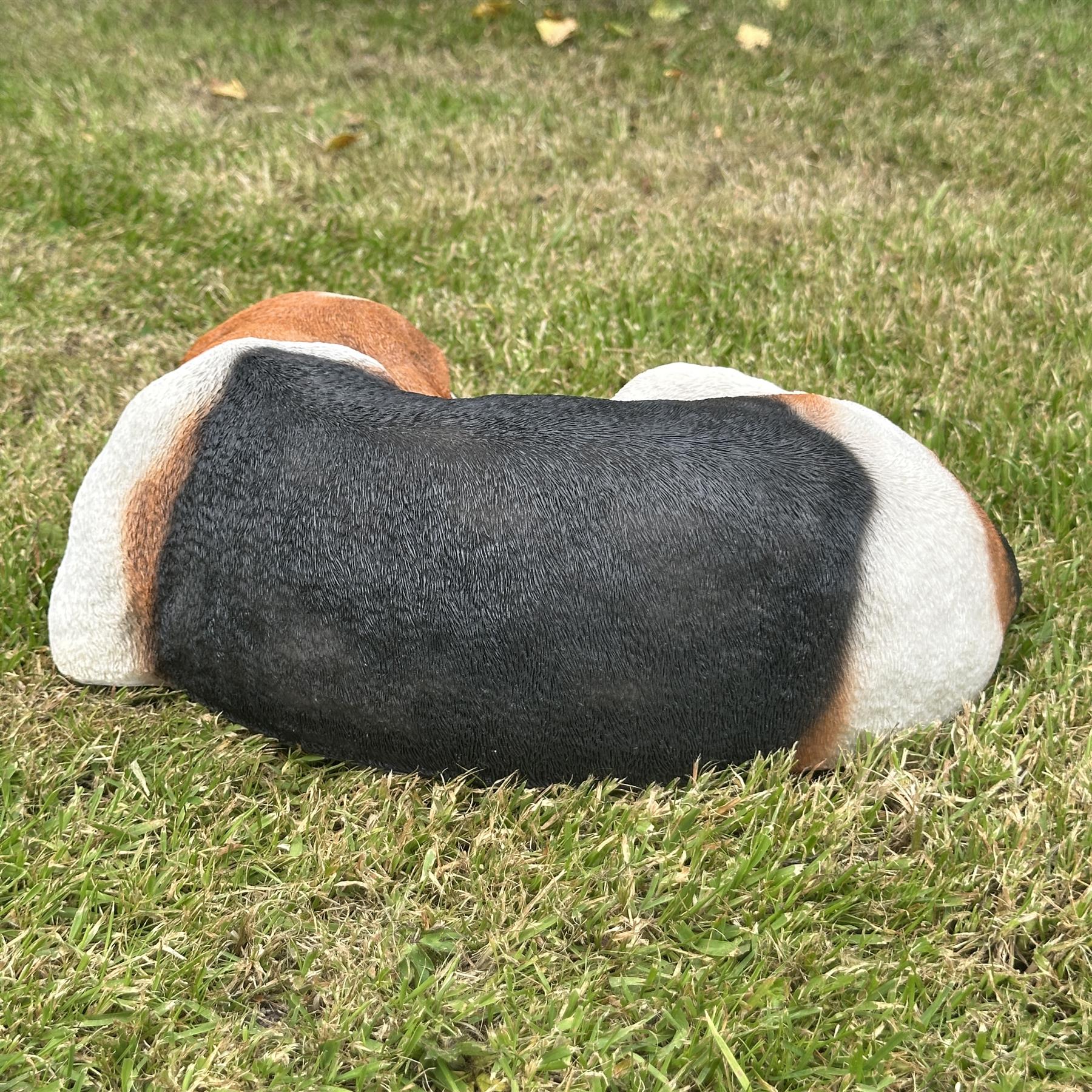 Large (38cm) realistic laying Beagle Dog figurine