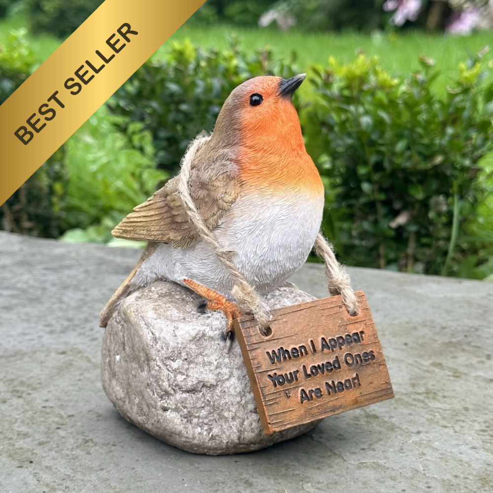 Remembrance Robin with 'When I Appear Your Loved Ones Are Near' sign memorial ornament bird lover gift