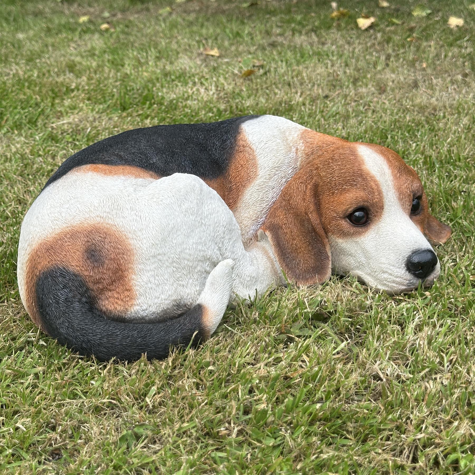 Large (38cm) realistic laying Beagle Dog figurine