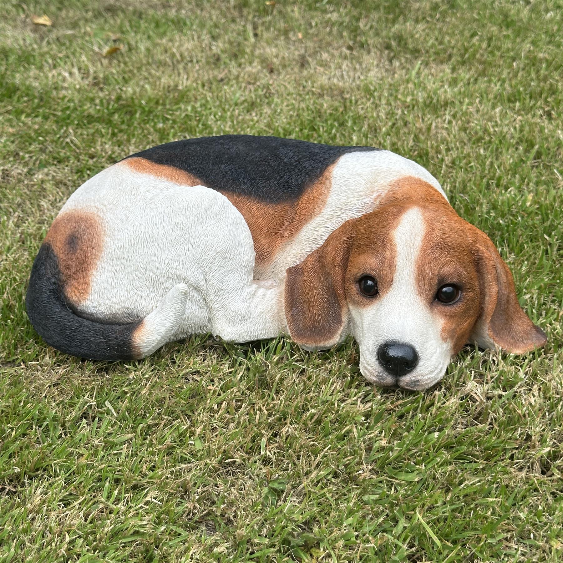 Large (38cm) realistic laying Beagle Dog figurine