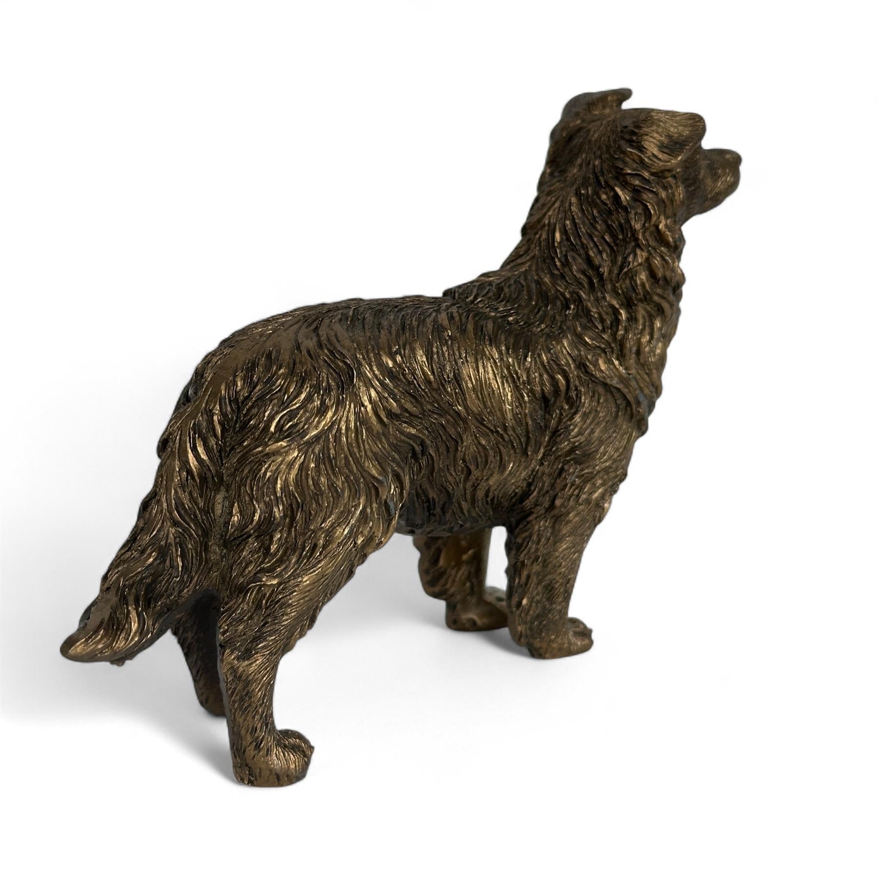 Border Collie Dog figurine, Leonardo Reflections Bronzed, gift boxed