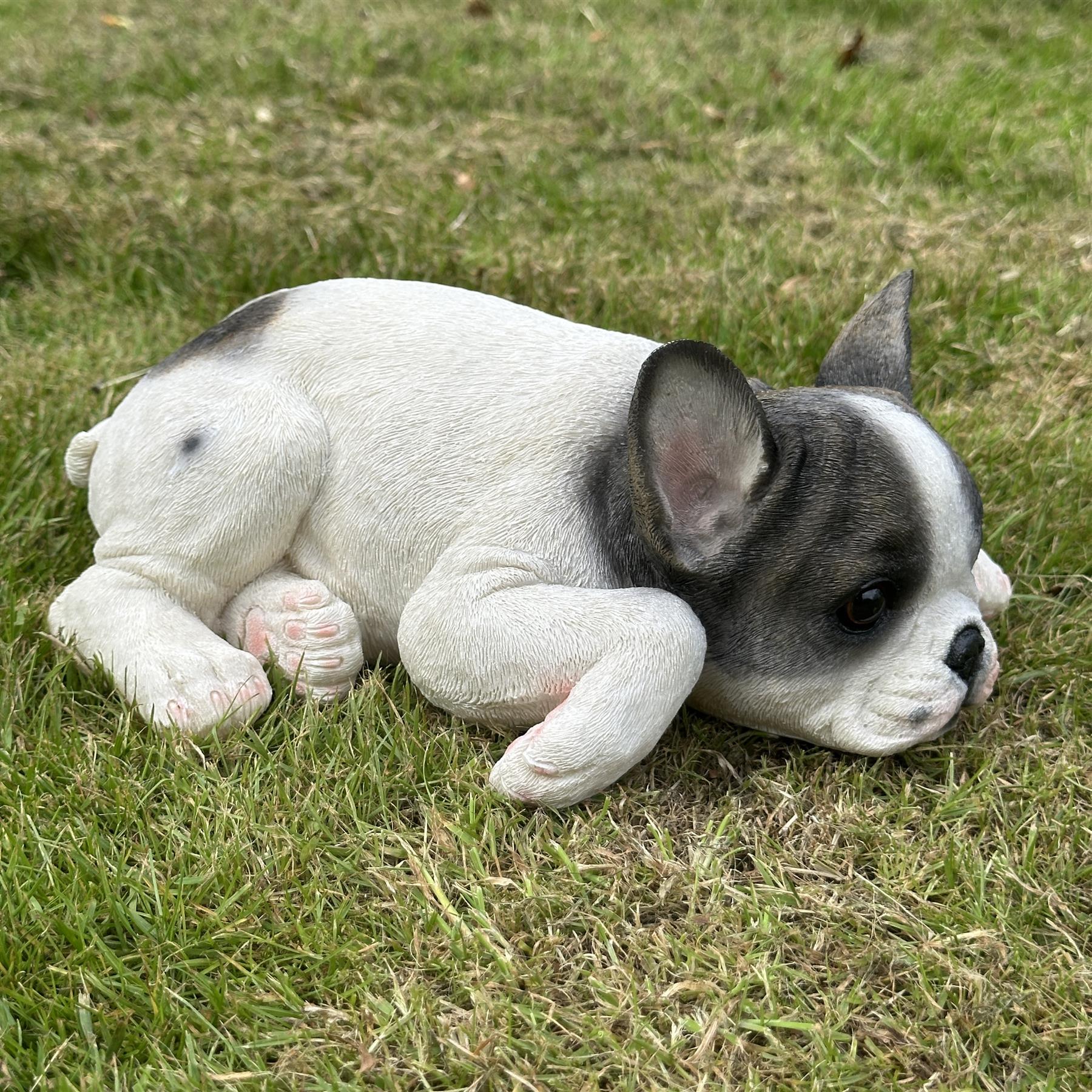 Realistic Black & White laying French Bulldog figurine home or garden decoration, pet loss gift or memorial