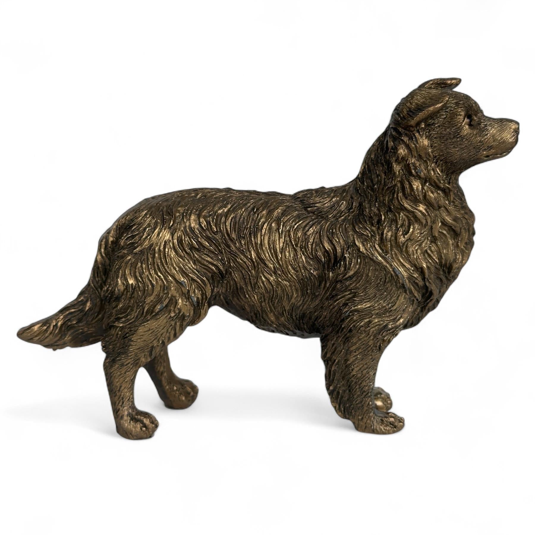 Border Collie Dog figurine, Leonardo Reflections Bronzed, gift boxed