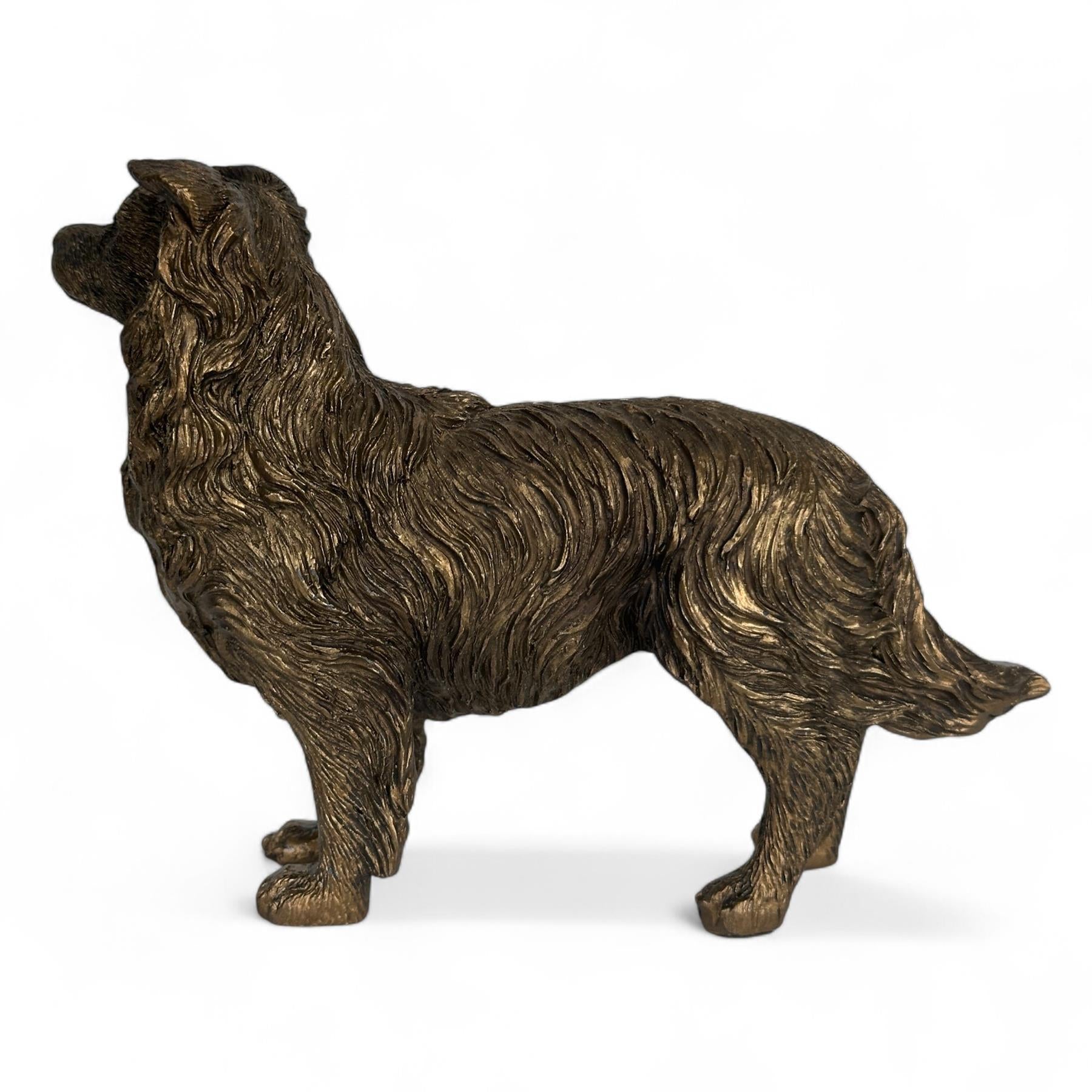 Border Collie Dog figurine, Leonardo Reflections Bronzed, gift boxed