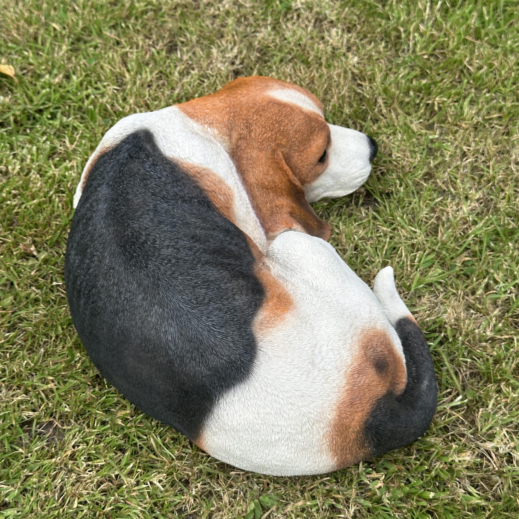 Large (38cm) realistic laying Beagle Dog figurine