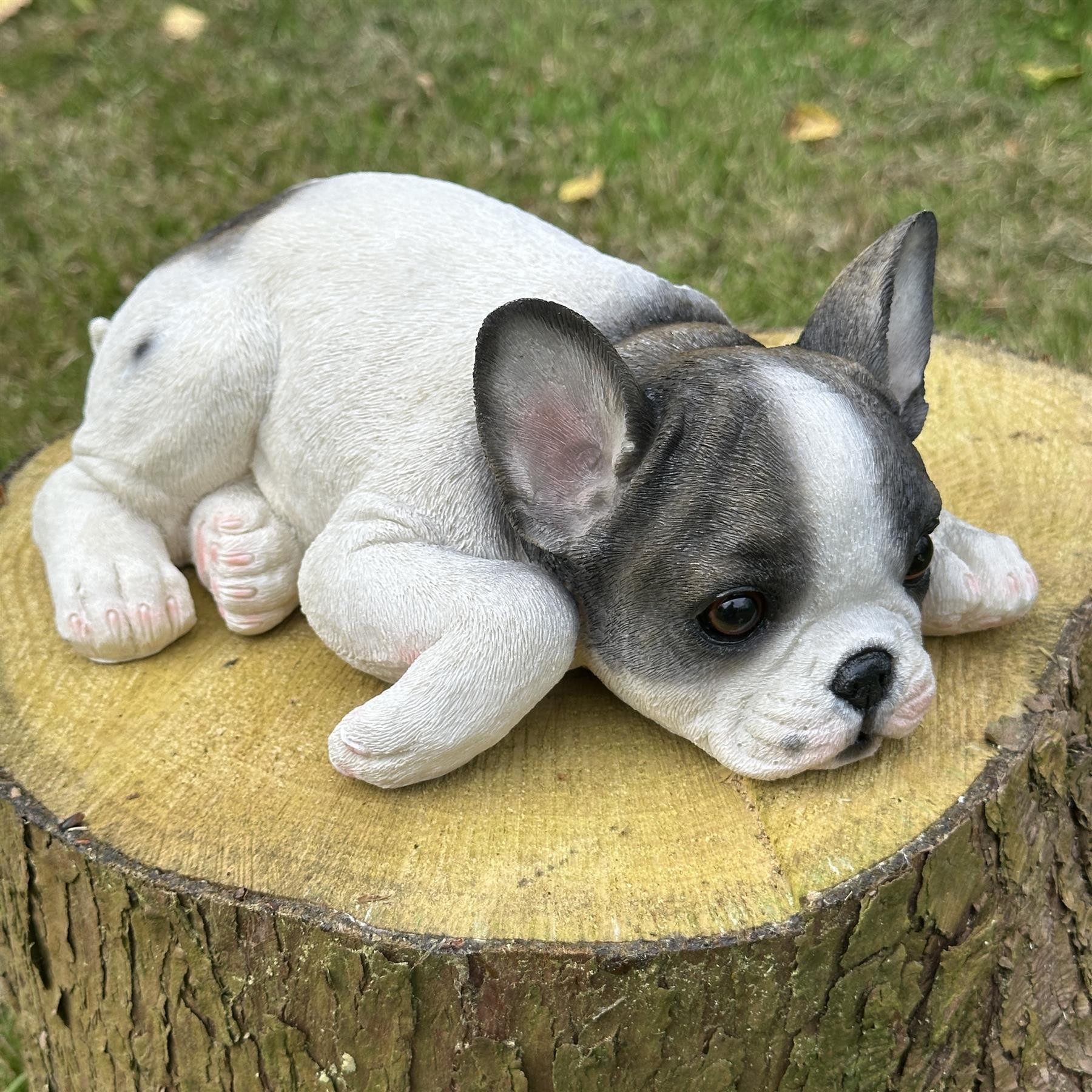 Realistic Black & White laying French Bulldog figurine home or garden decoration, pet loss gift or memorial