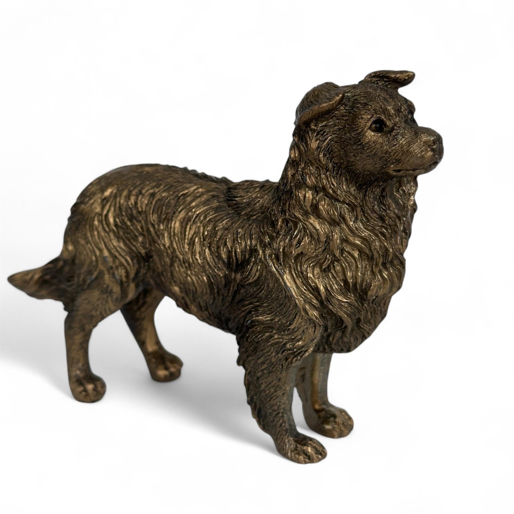 Border Collie Dog figurine, Leonardo Reflections Bronzed, gift boxed