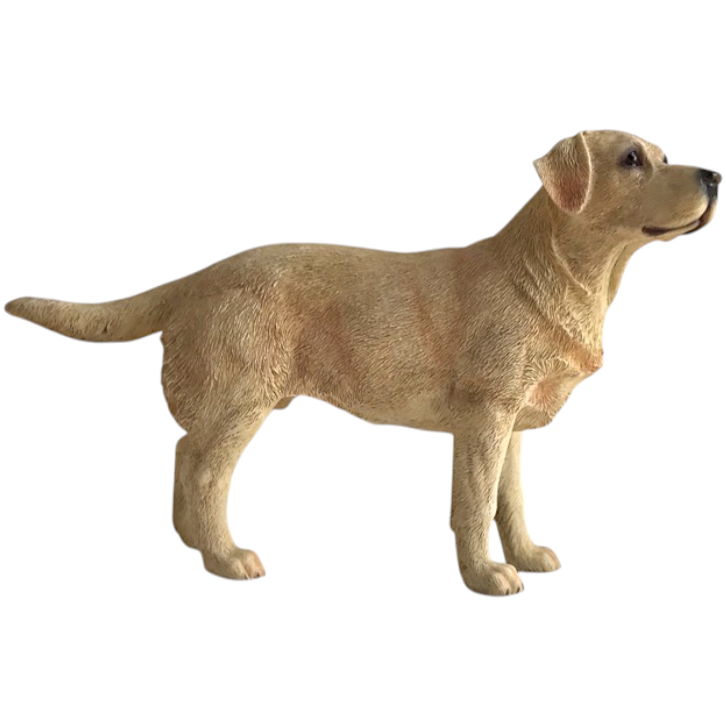 Standing Leonardo Golden Labrador ornament figurine decoration, Gift boxed