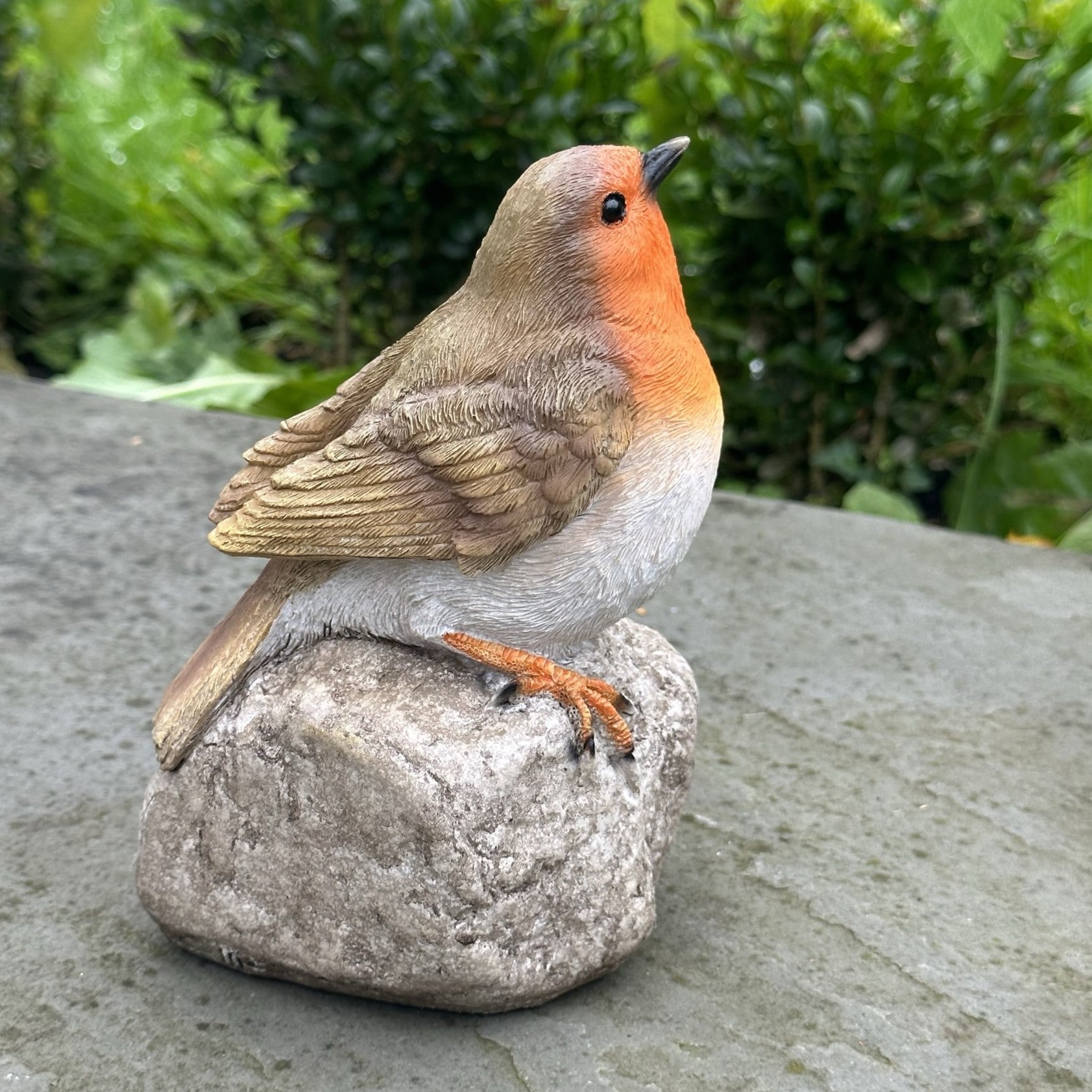 Remembrance Robin with 'When I Appear Your Loved Ones Are Near' sign memorial ornament bird lover gift