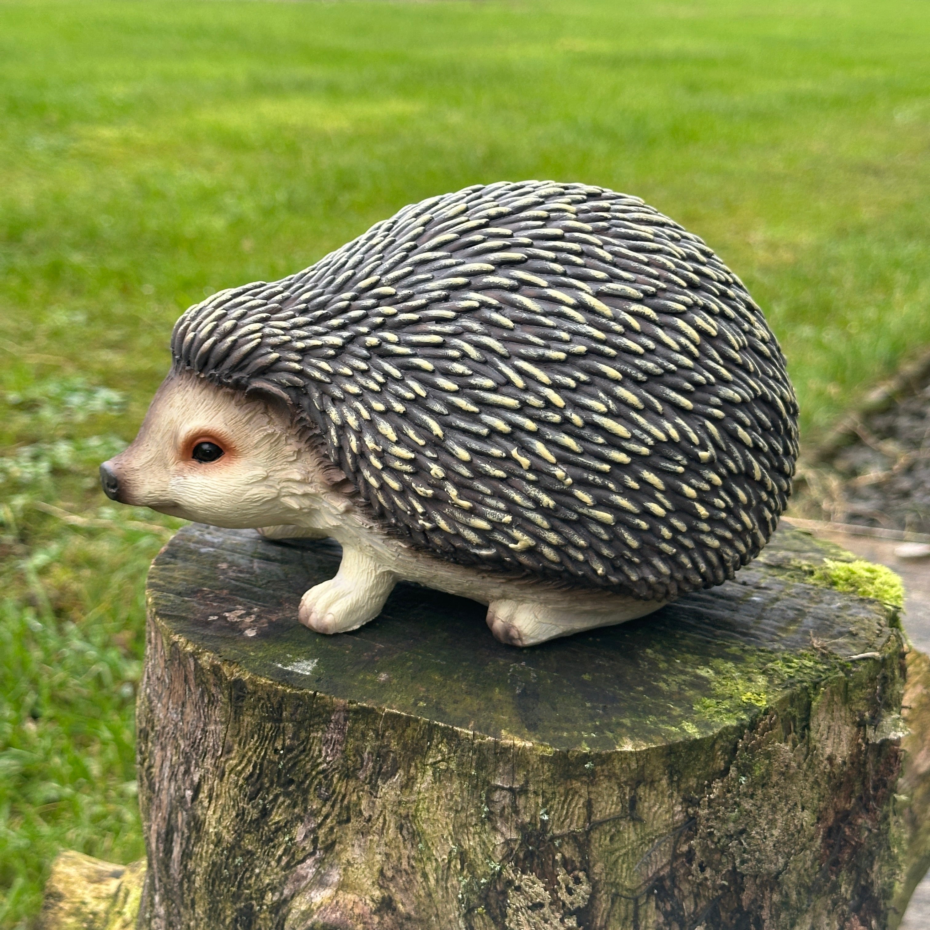 Animal Crackers Hedgehog figurine, length 19cm, gift boxed