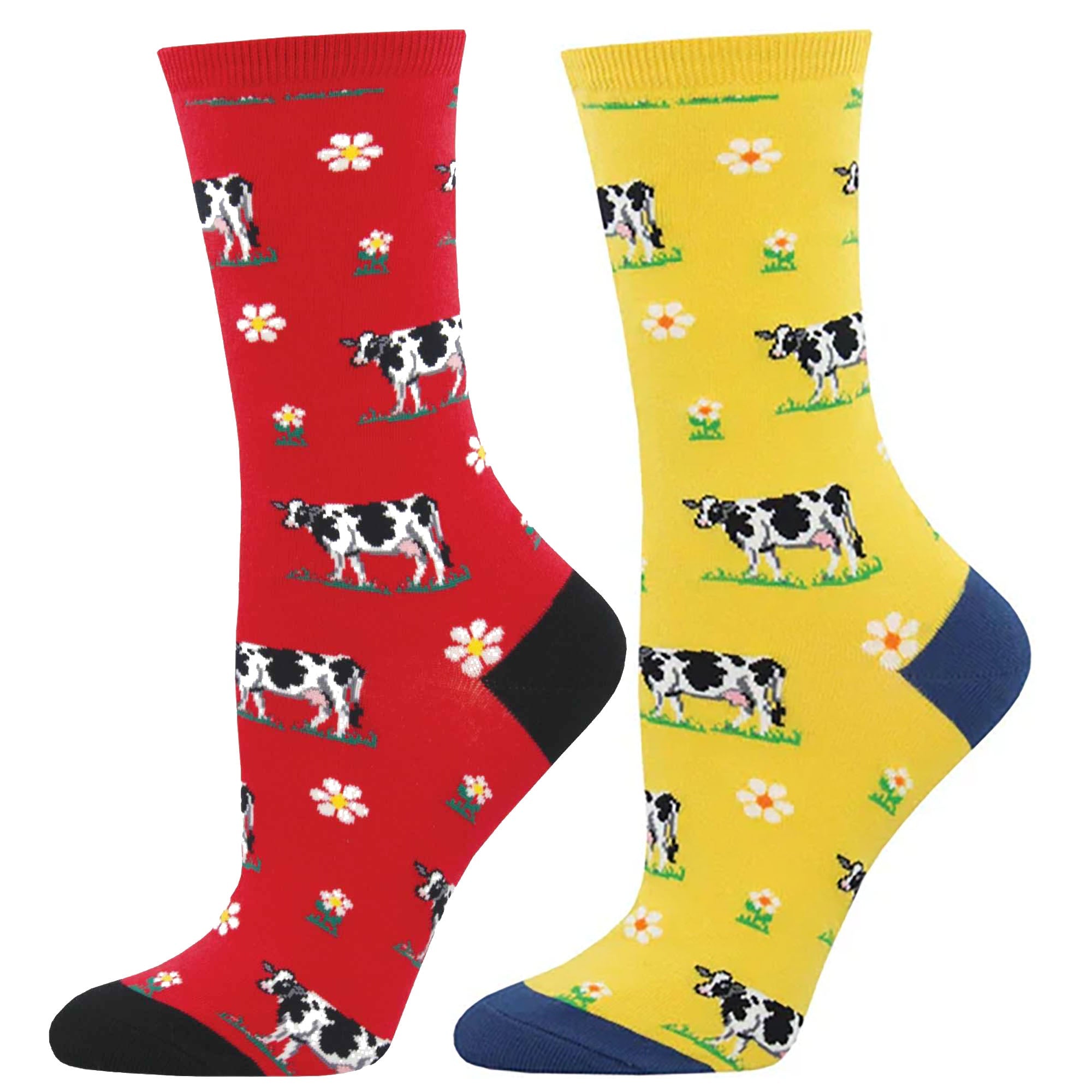 Socksmith Legendairy 6 Pack - Cotton Crew Socks