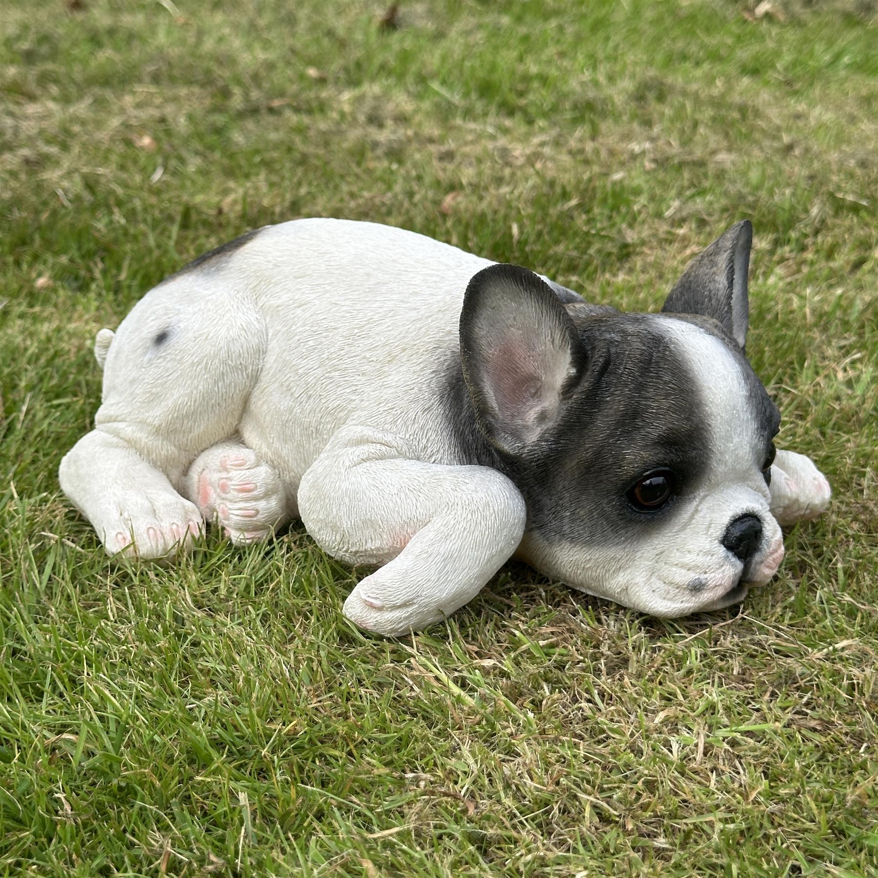 Realistic Black & White laying French Bulldog figurine home or garden decoration, pet loss gift or memorial