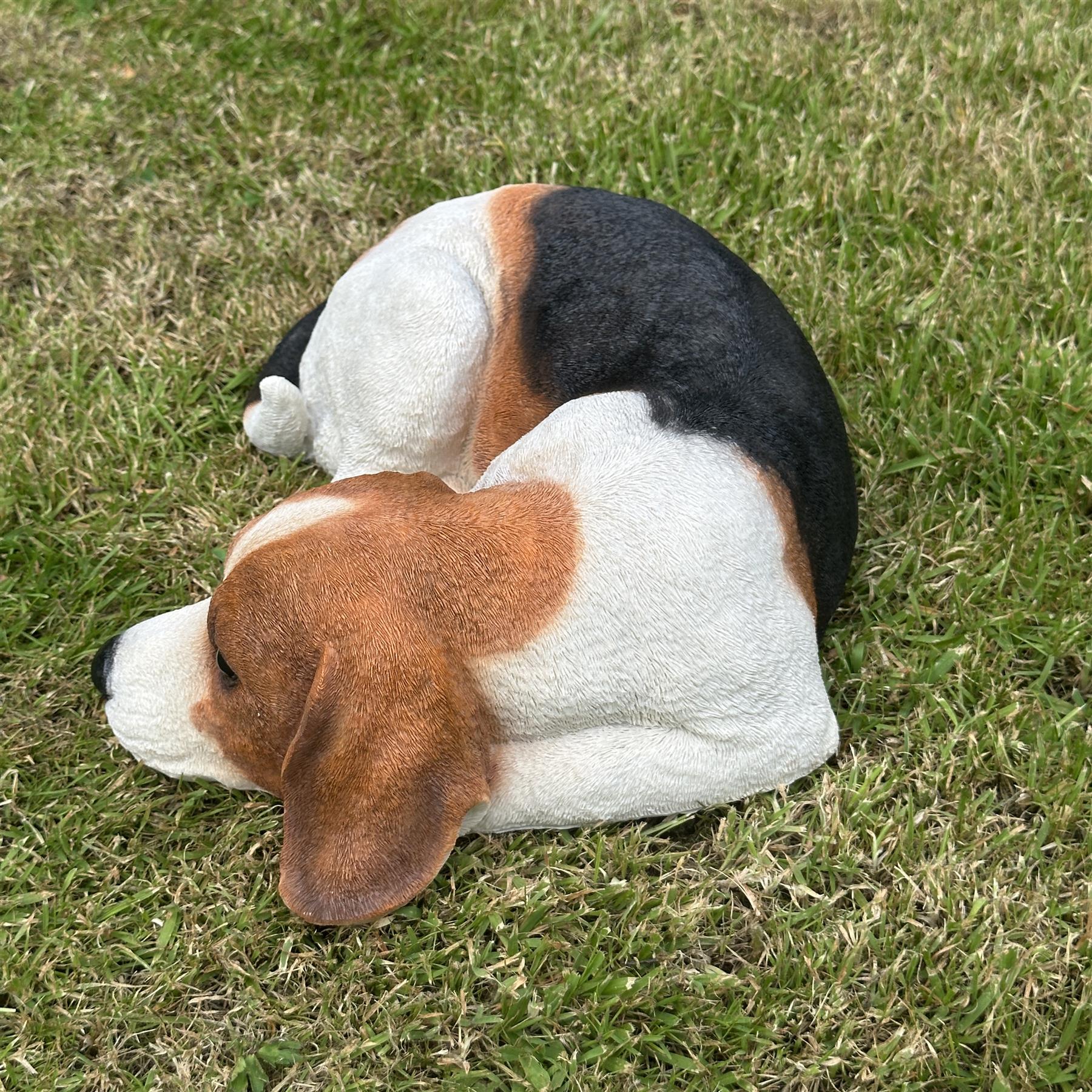 Large (38cm) realistic laying Beagle Dog figurine