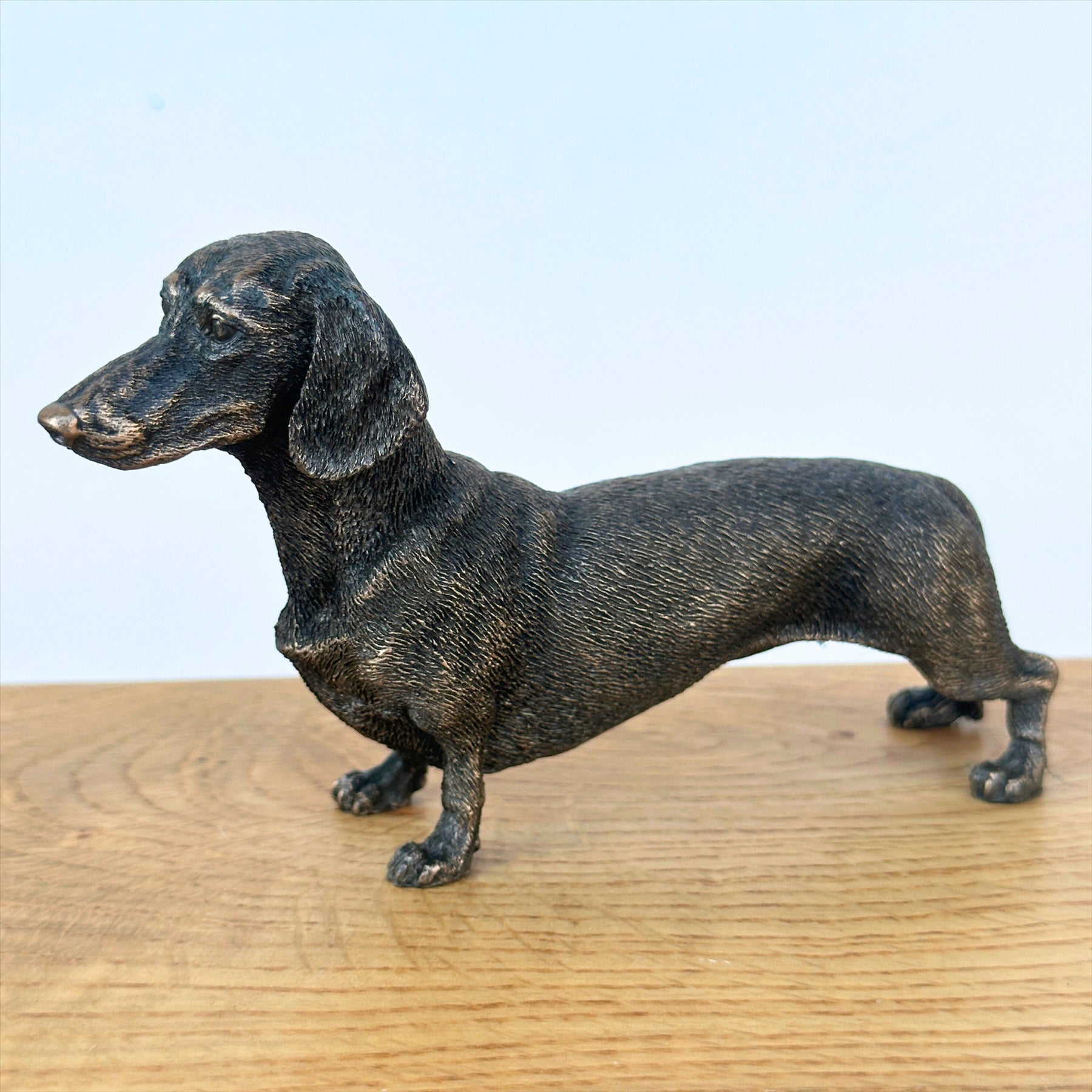 Dachshund figurine in solid cold cast bronze, gift boxed