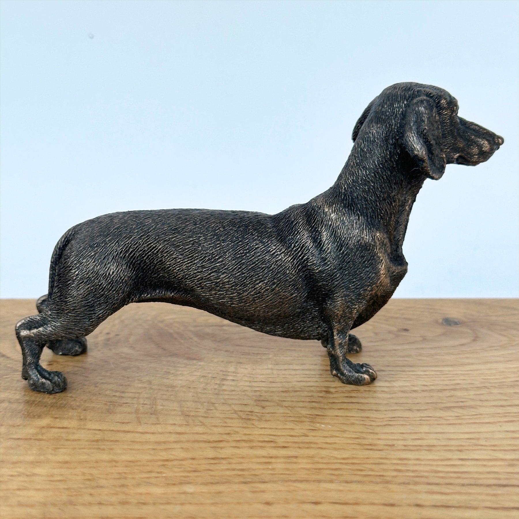 Dachshund figurine in solid cold cast bronze, gift boxed