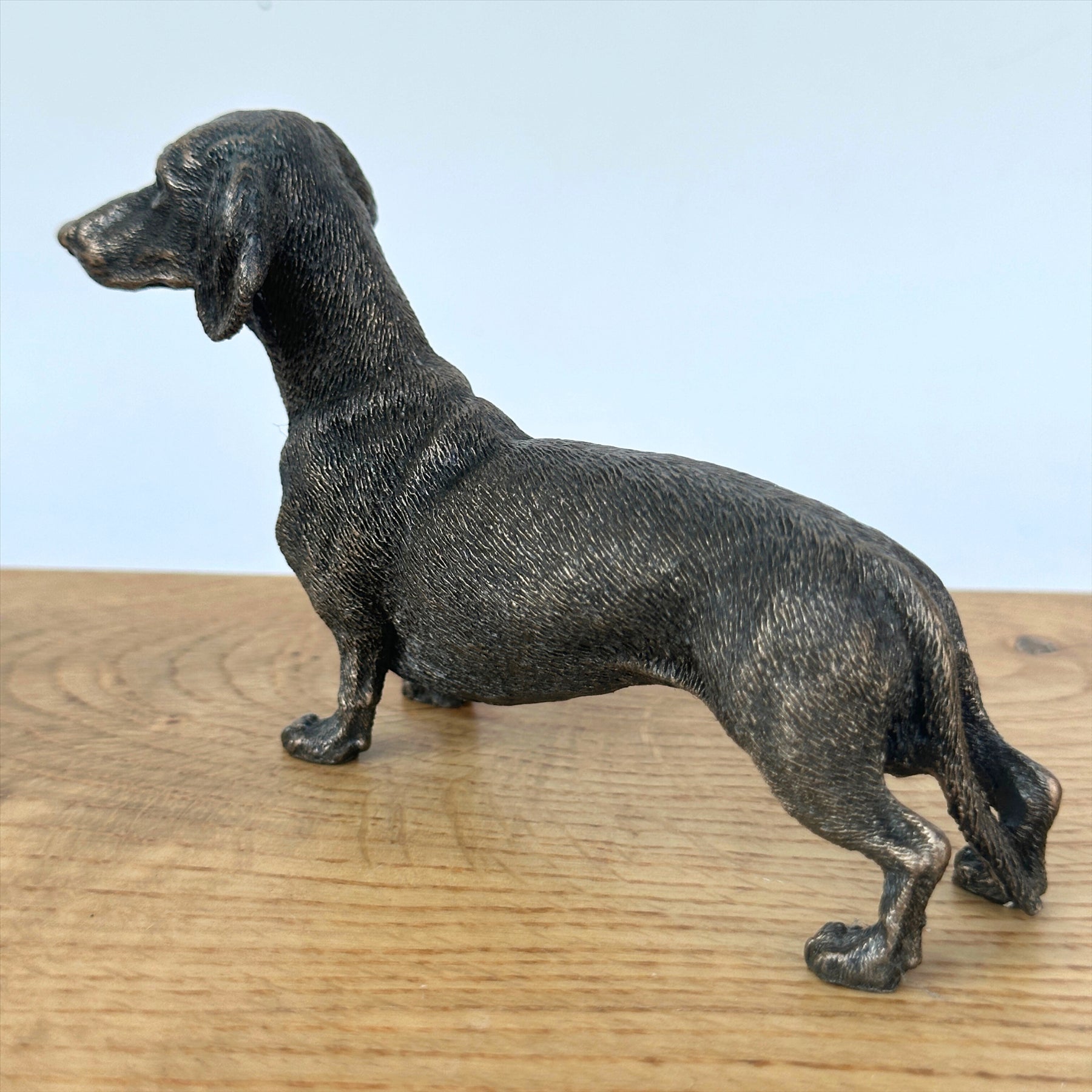 Dachshund figurine in solid cold cast bronze, gift boxed