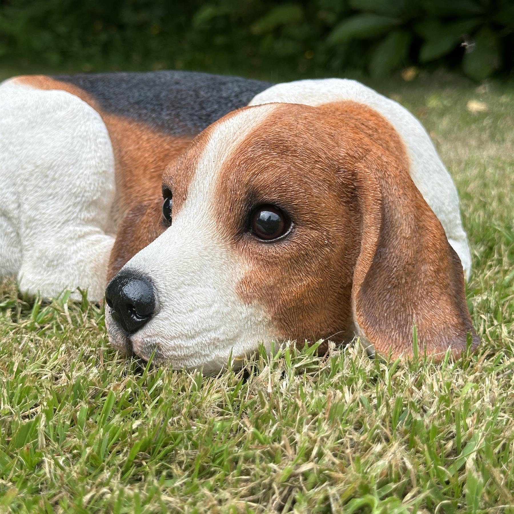 Large (38cm) realistic laying Beagle Dog figurine