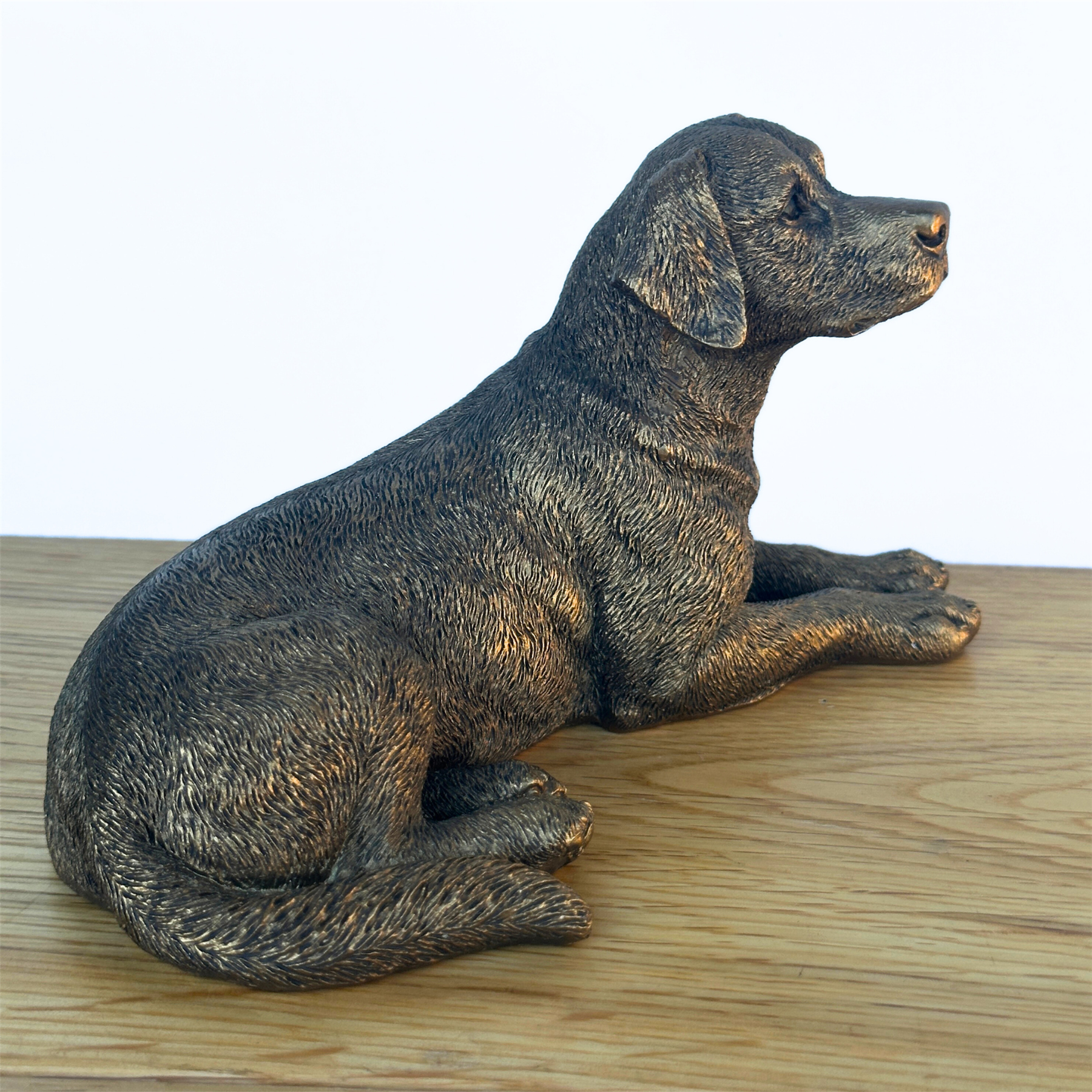 Laying Labrador Dog figurine, Leonardo Reflections Bronzed, gift boxed