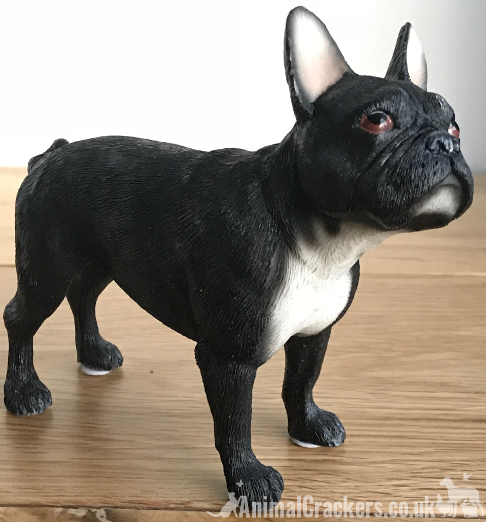 Black French Bulldog Frenchie ornament figurine sculpture Leonardo, gift boxed