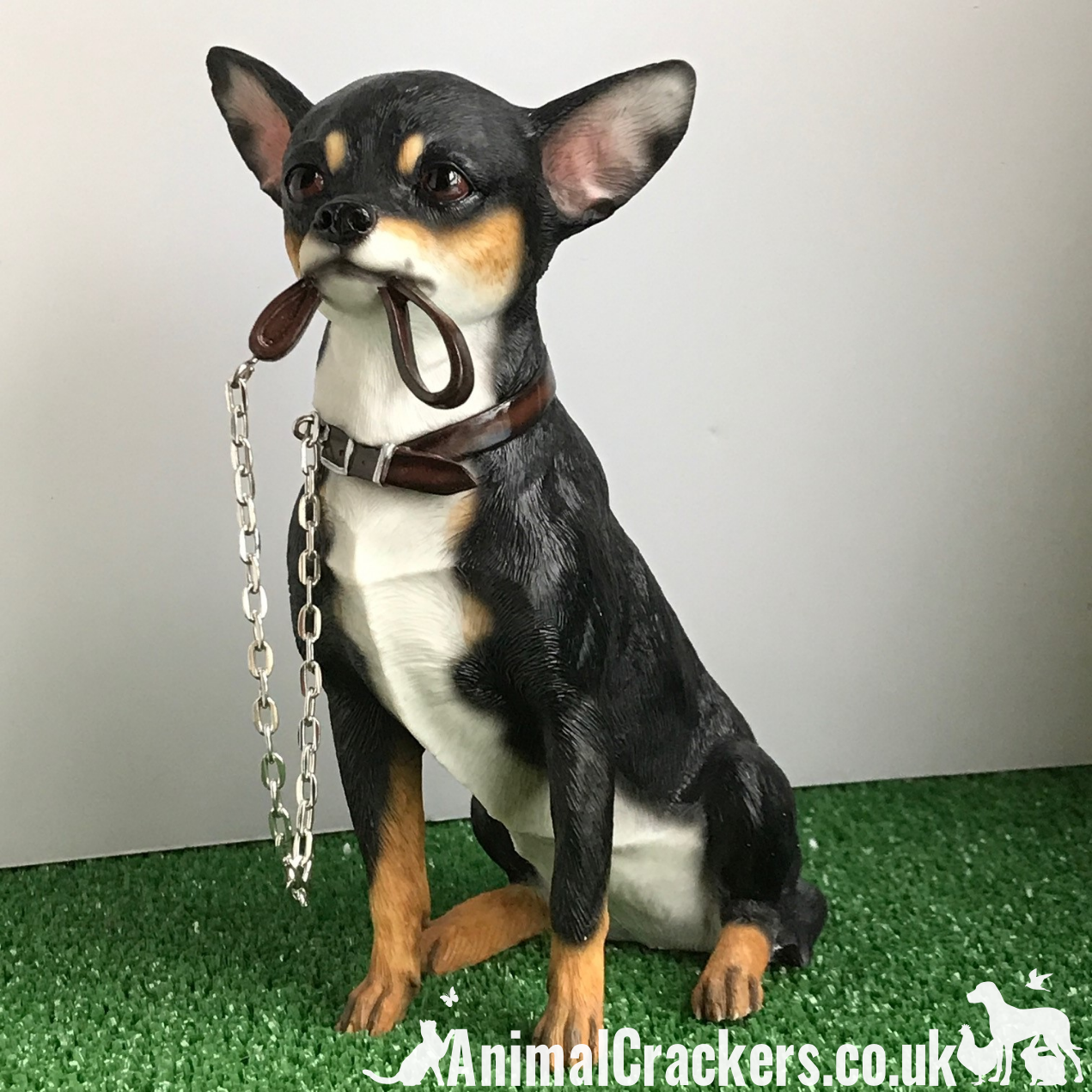 Chihuahua black & tan quality lifelike large 18cm Leonardo figurine. Gift boxed.