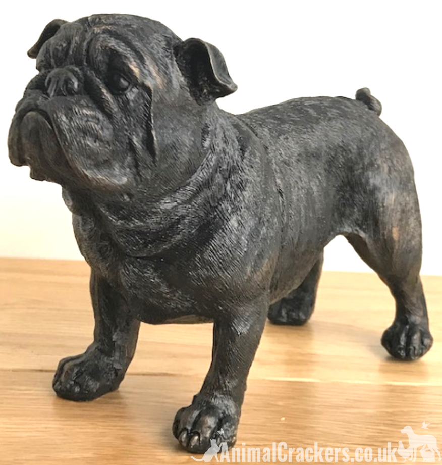20cm bronze effect English Bulldog ornament figurine Bull Dog lover gift, boxed
