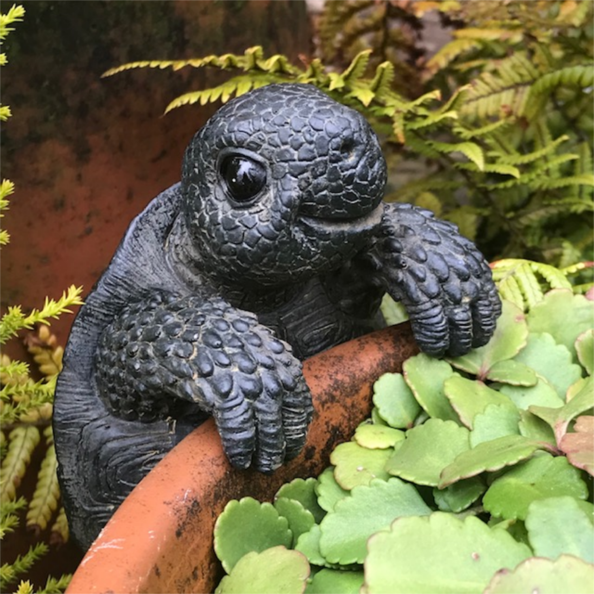 TORTOISE POT HANGER novelty resin garden ornament, great reptile lover gift