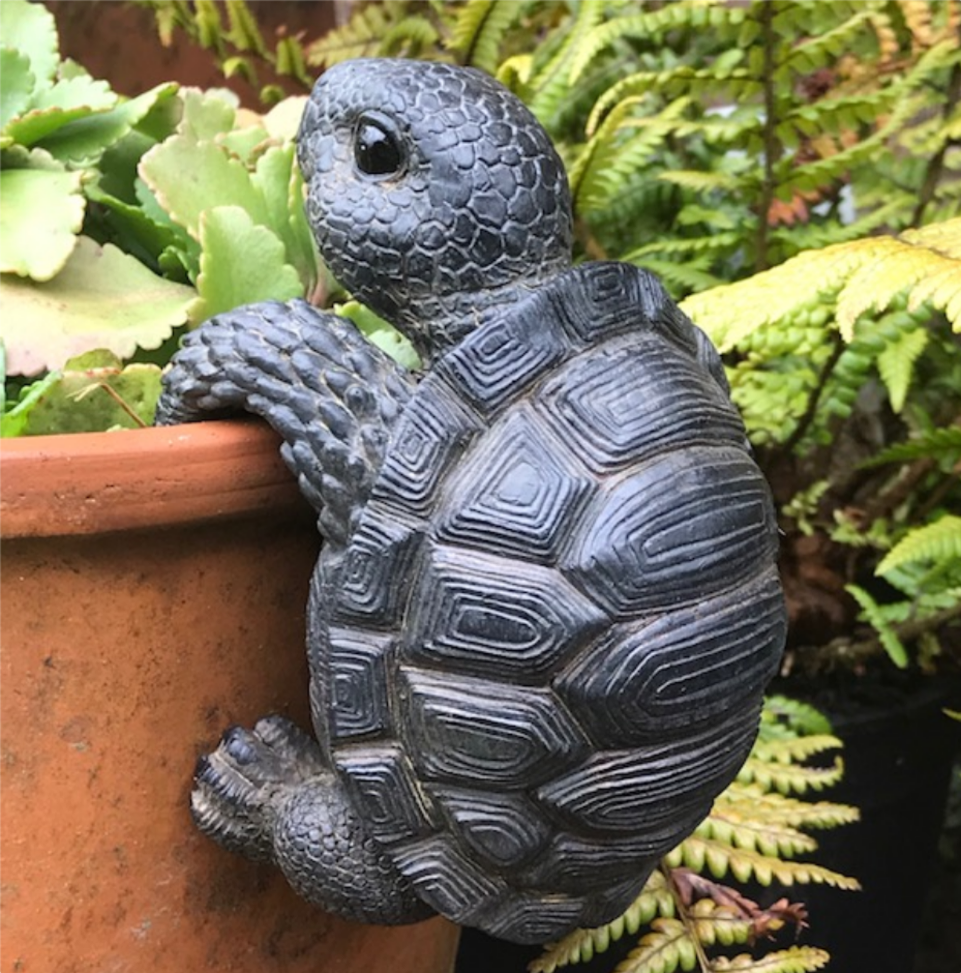 TORTOISE POT HANGER novelty resin garden ornament, great reptile lover gift