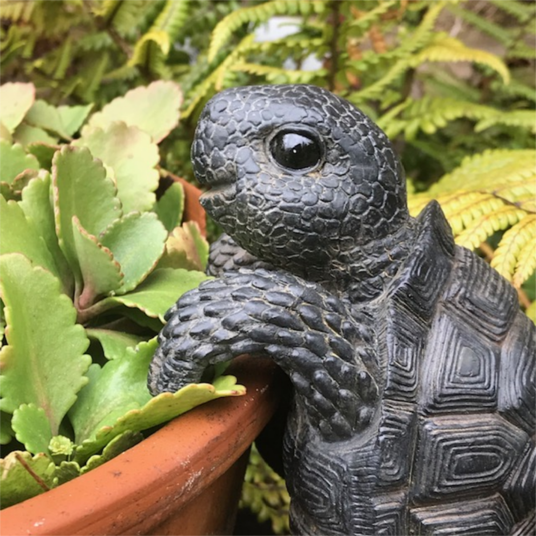 TORTOISE POT HANGER novelty resin garden ornament, great reptile lover gift