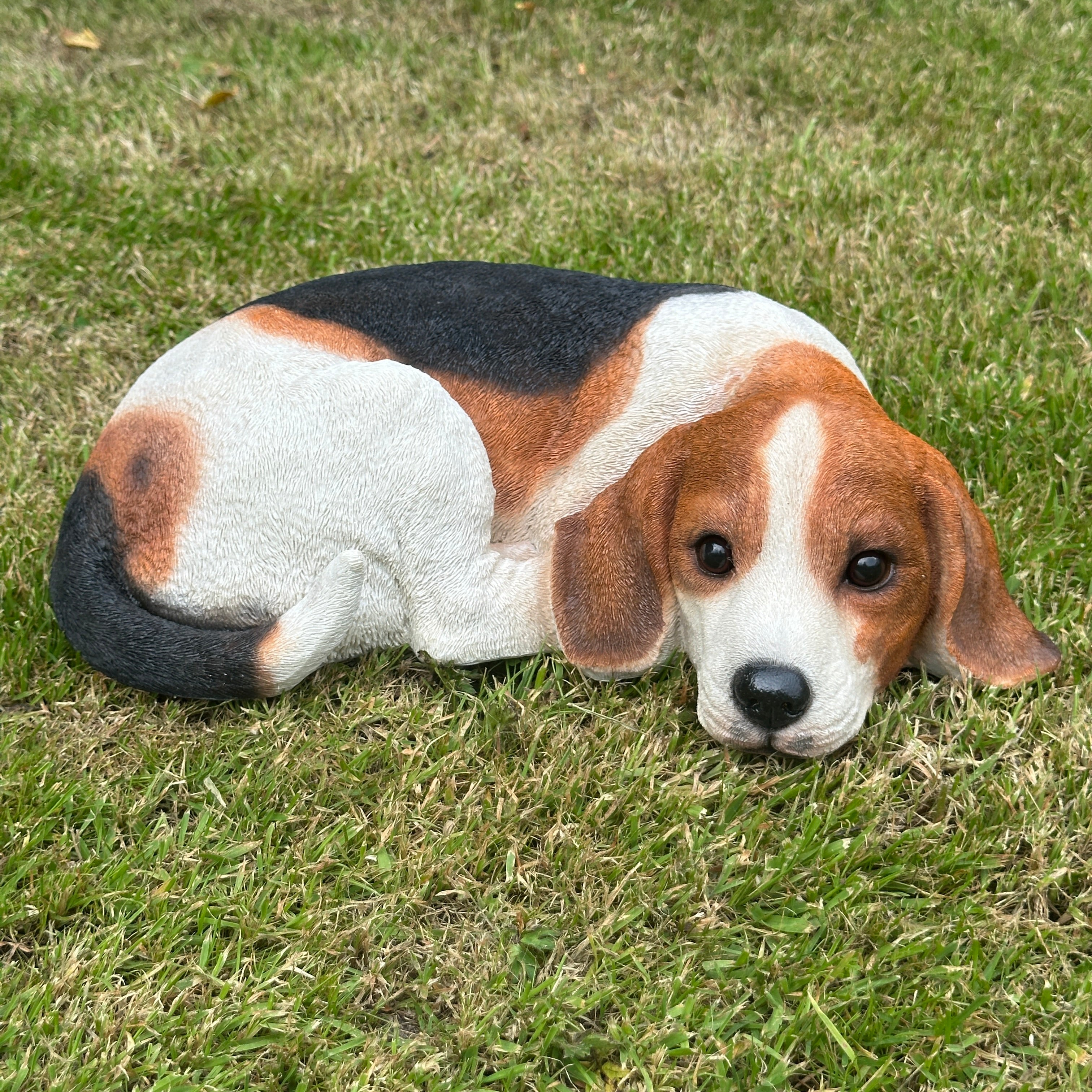 Laying Dogs