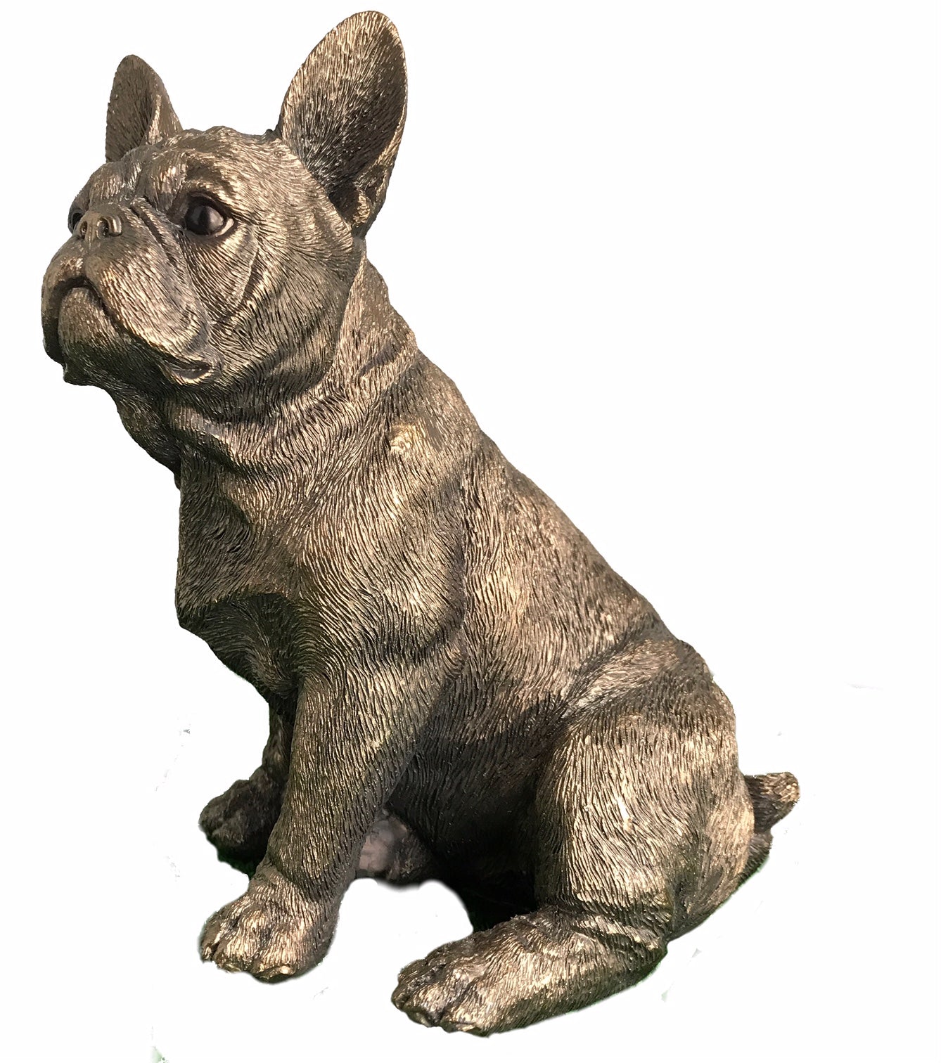 BREED_French Bulldog