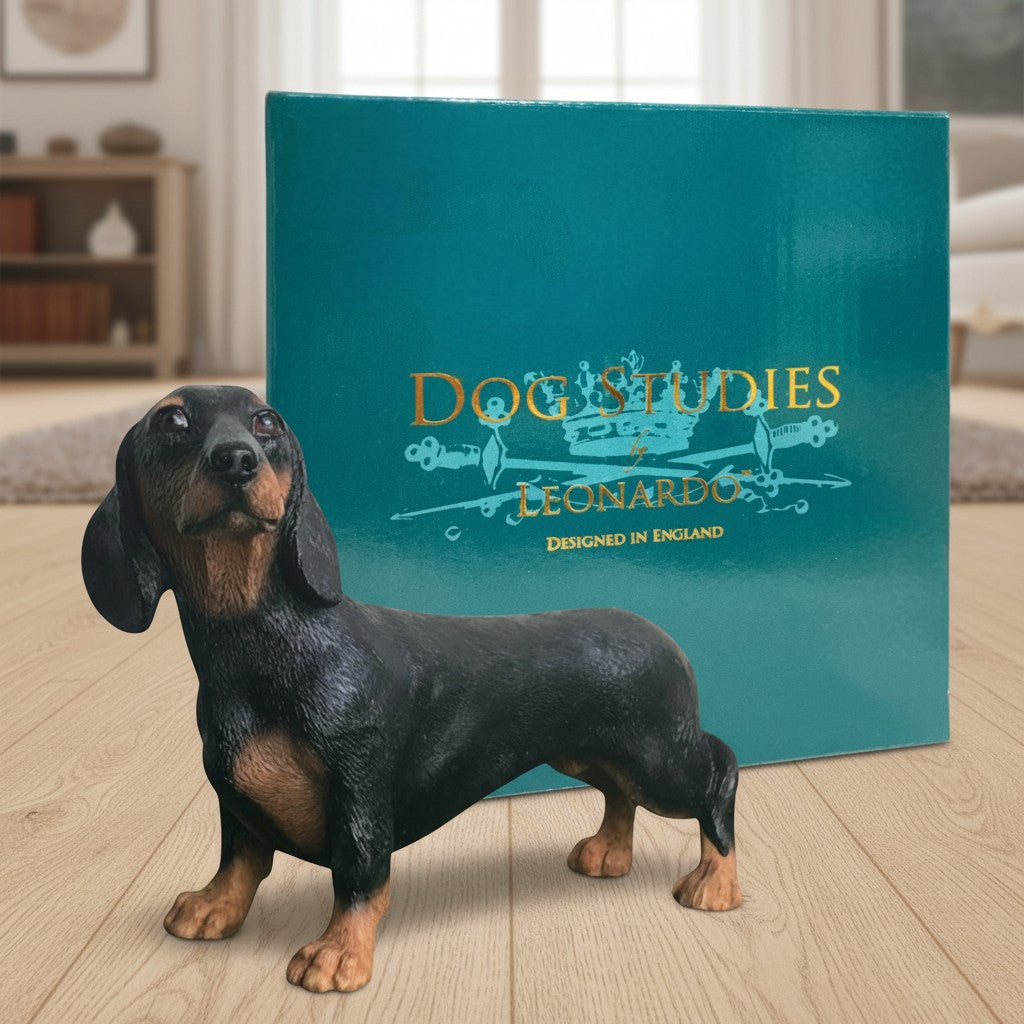 Dachshund Black & Tan, Leonardo Dog Studies Figurine, Length 15cm, Gift Boxed