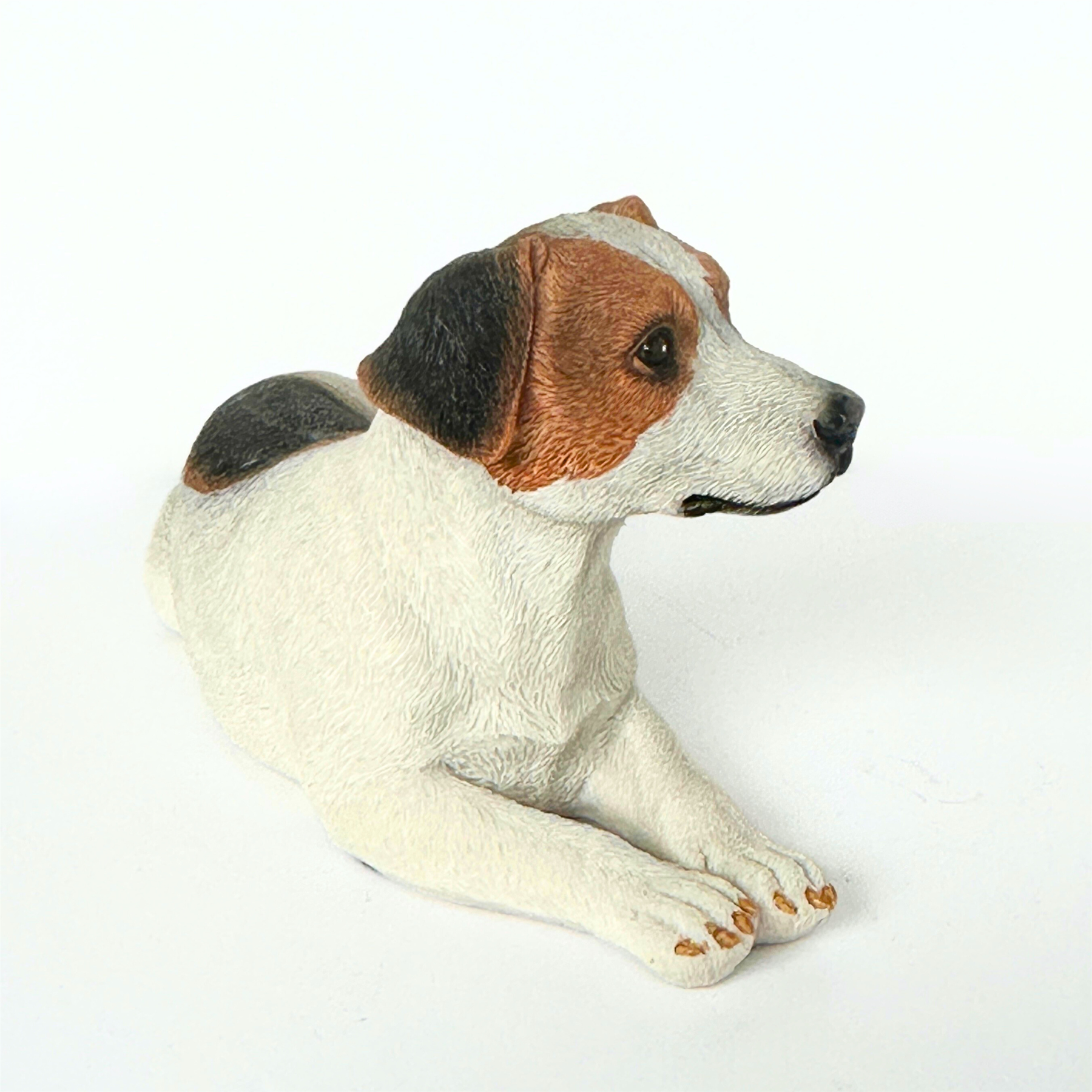 Realistic Laying Jack Russell Dog figurine, gift boxed
