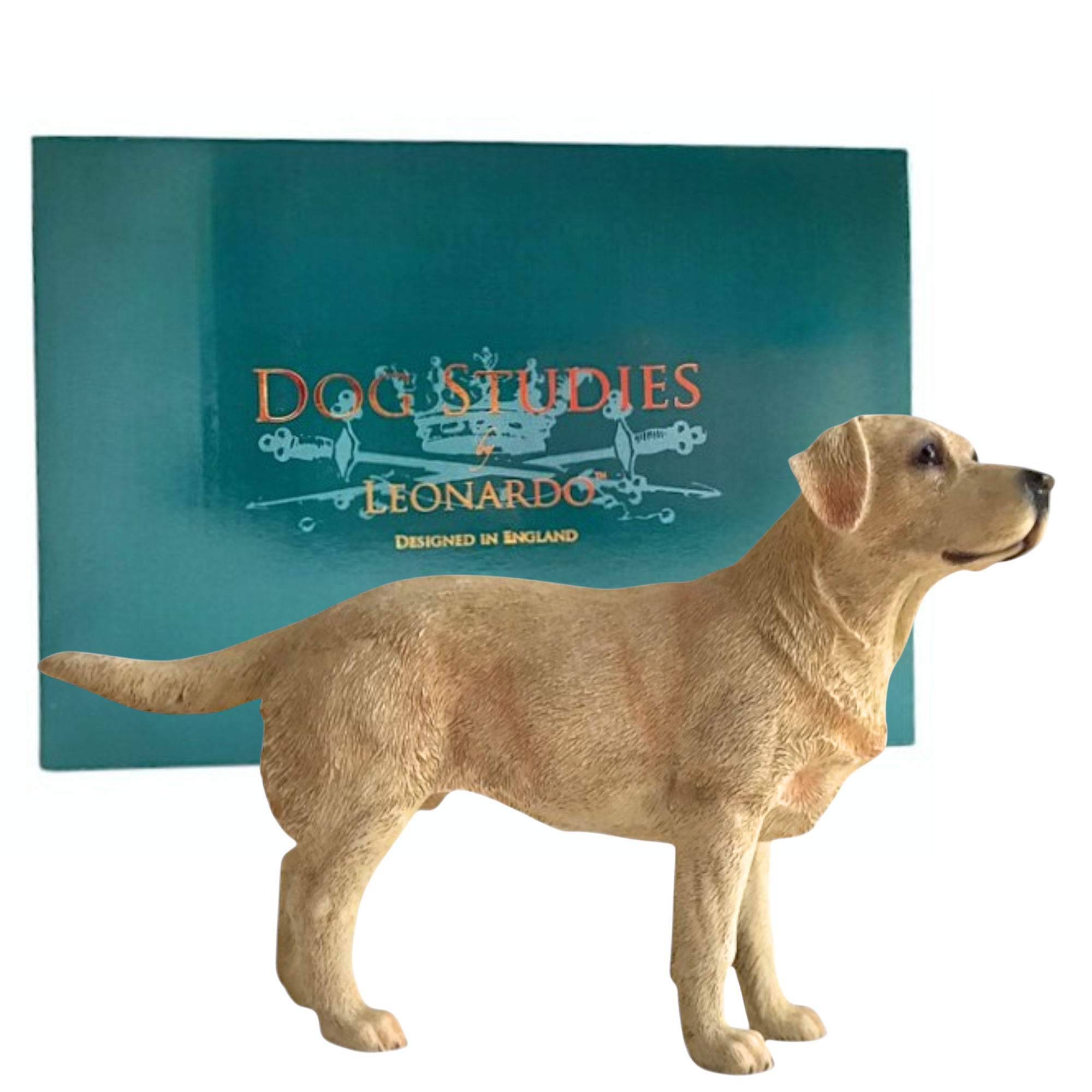 Standing Leonardo Golden Labrador ornament figurine decoration, Gift boxed