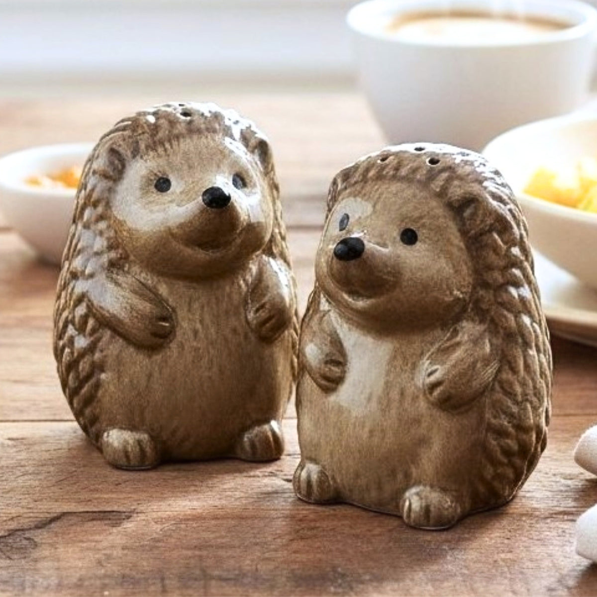 Hedgehogs design ceramic Salt & Pepper shaker set, gift boxed