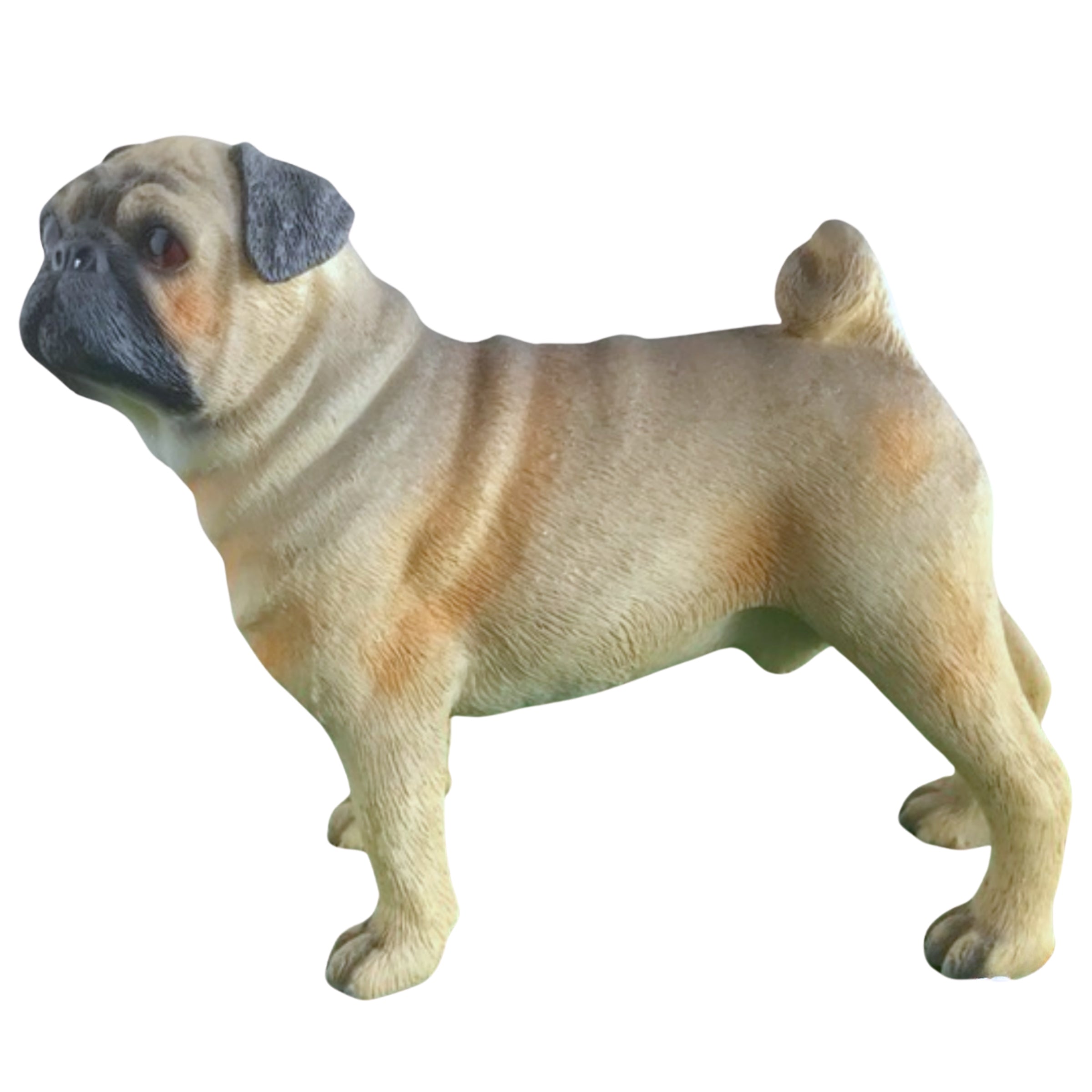 Beige standing Pug ornament quality realistic figurine Leonardo range Gift boxed
