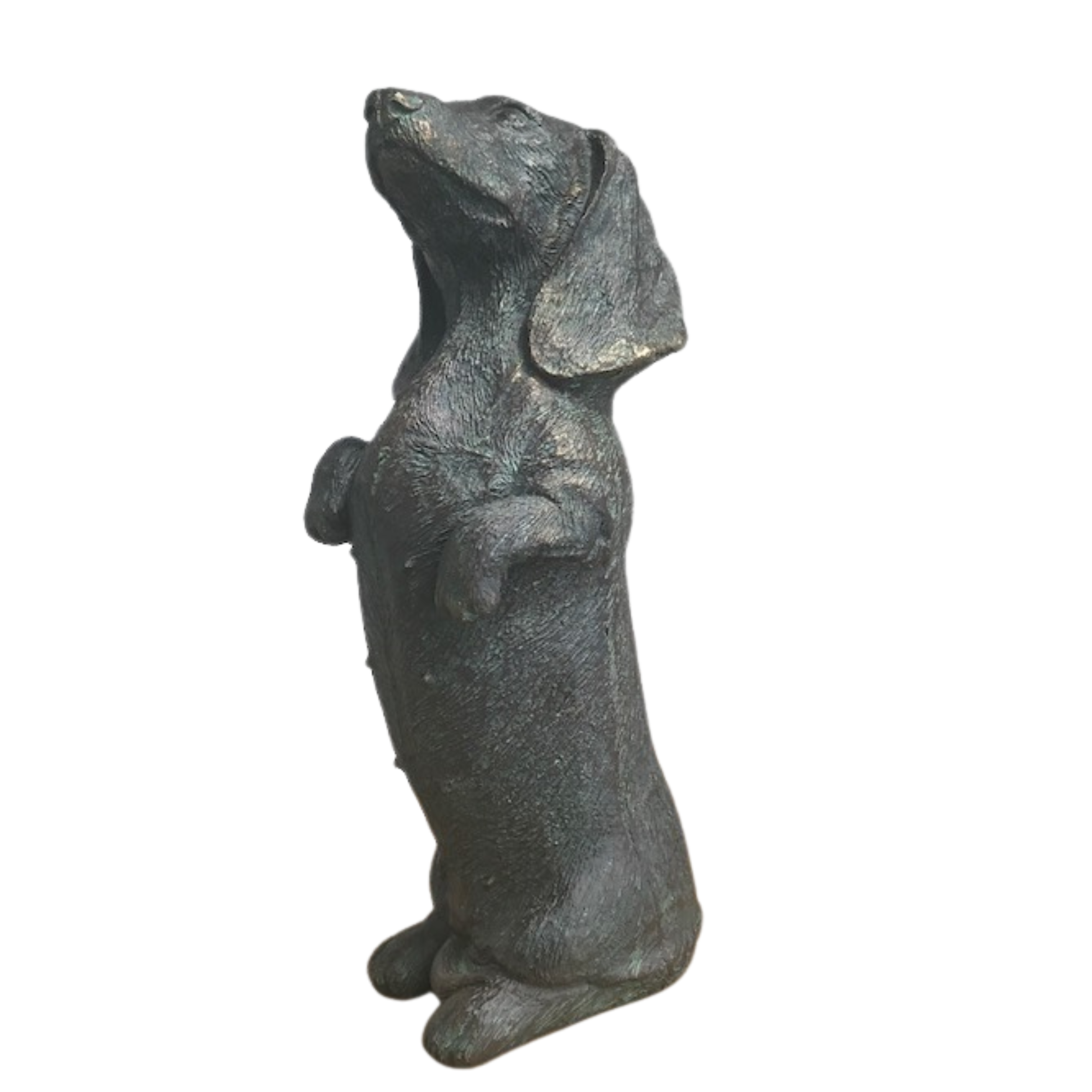 Bronze effect 23cm Dachshund sausage dog in/outdoor ornament sculpture figurine