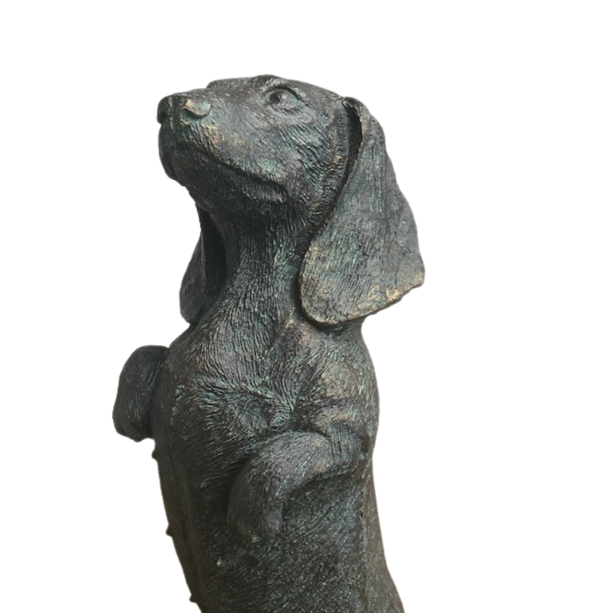 Bronze effect 23cm Dachshund sausage dog in/outdoor ornament sculpture figurine