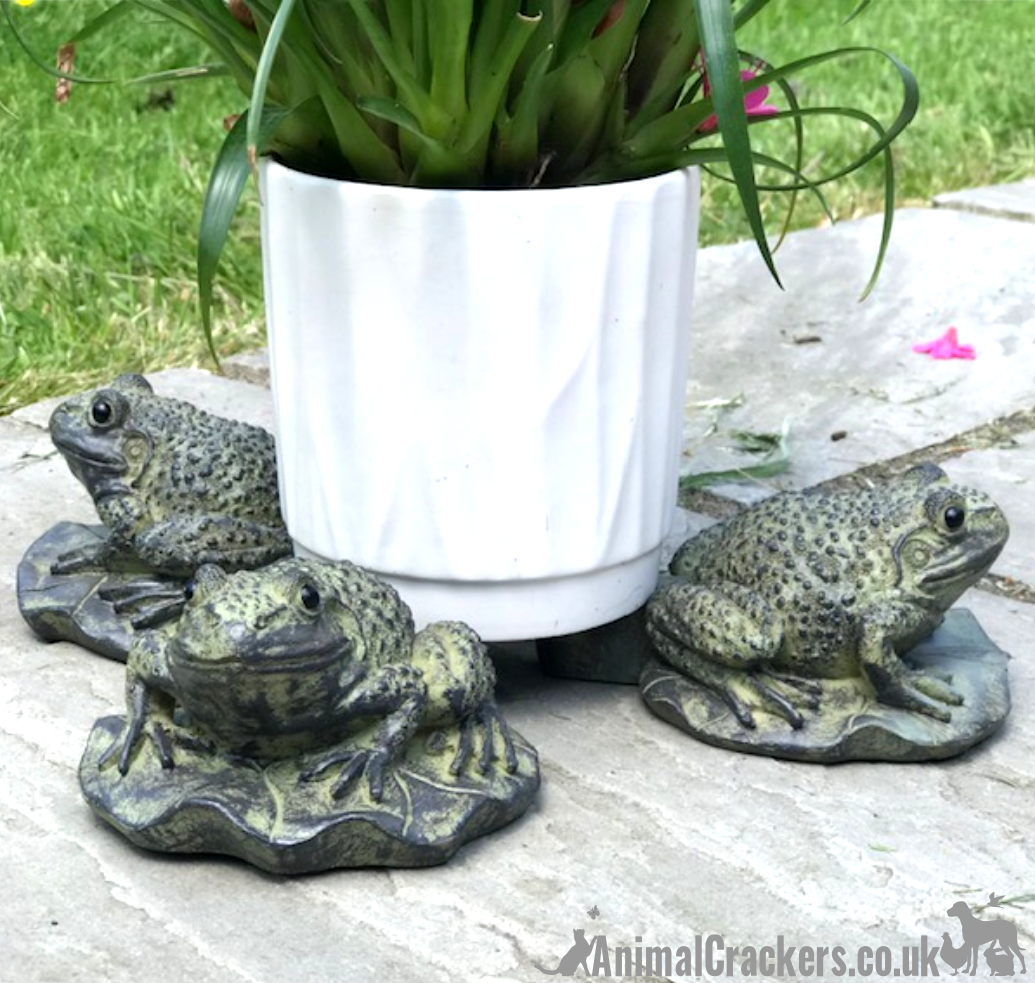 SET OF 3 quirky Frog on Lily Pad design Plant Pot Stands, novelty garden ornament