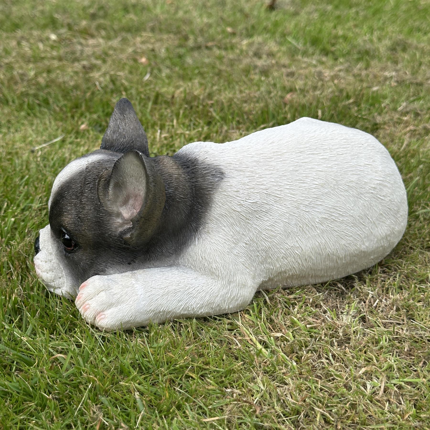Realistic Black & White laying French Bulldog figurine home or garden decoration, pet loss gift or memorial