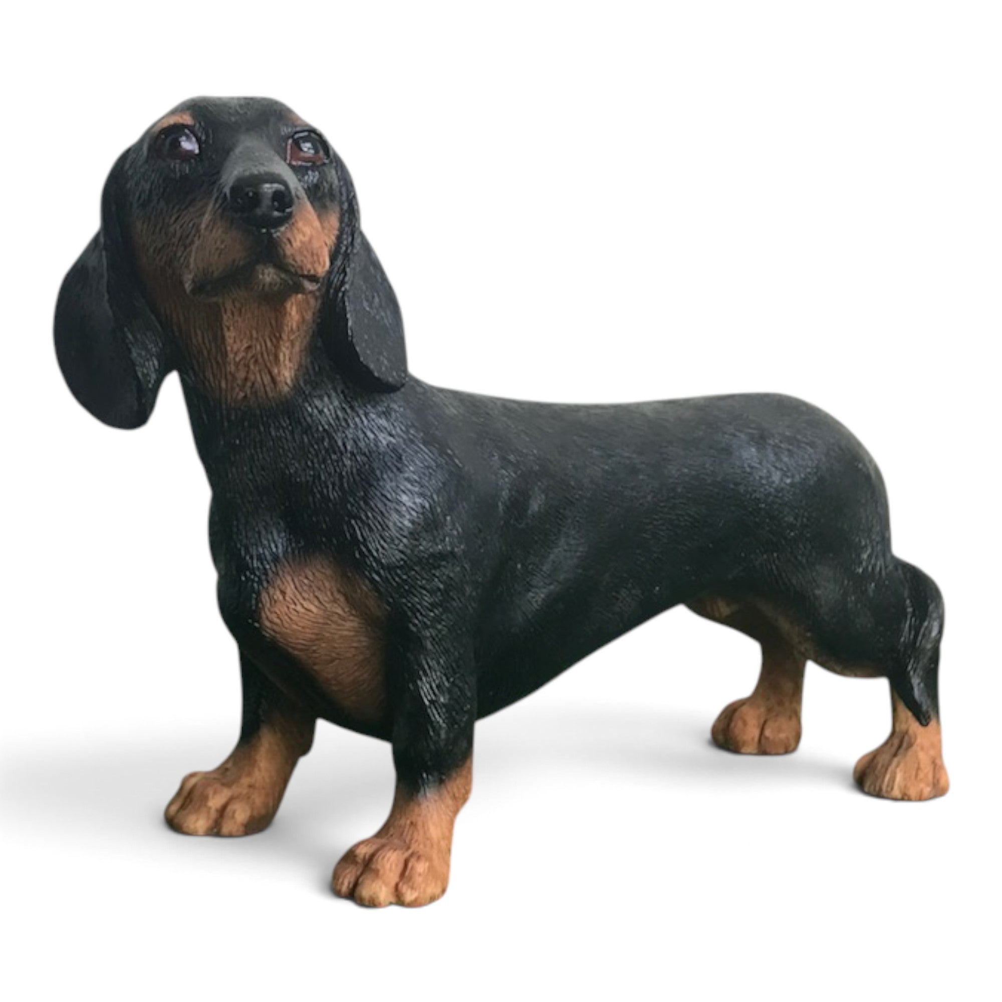 Dachshund Black & Tan, Leonardo Dog Studies Figurine, Length 15cm, Gift Boxed