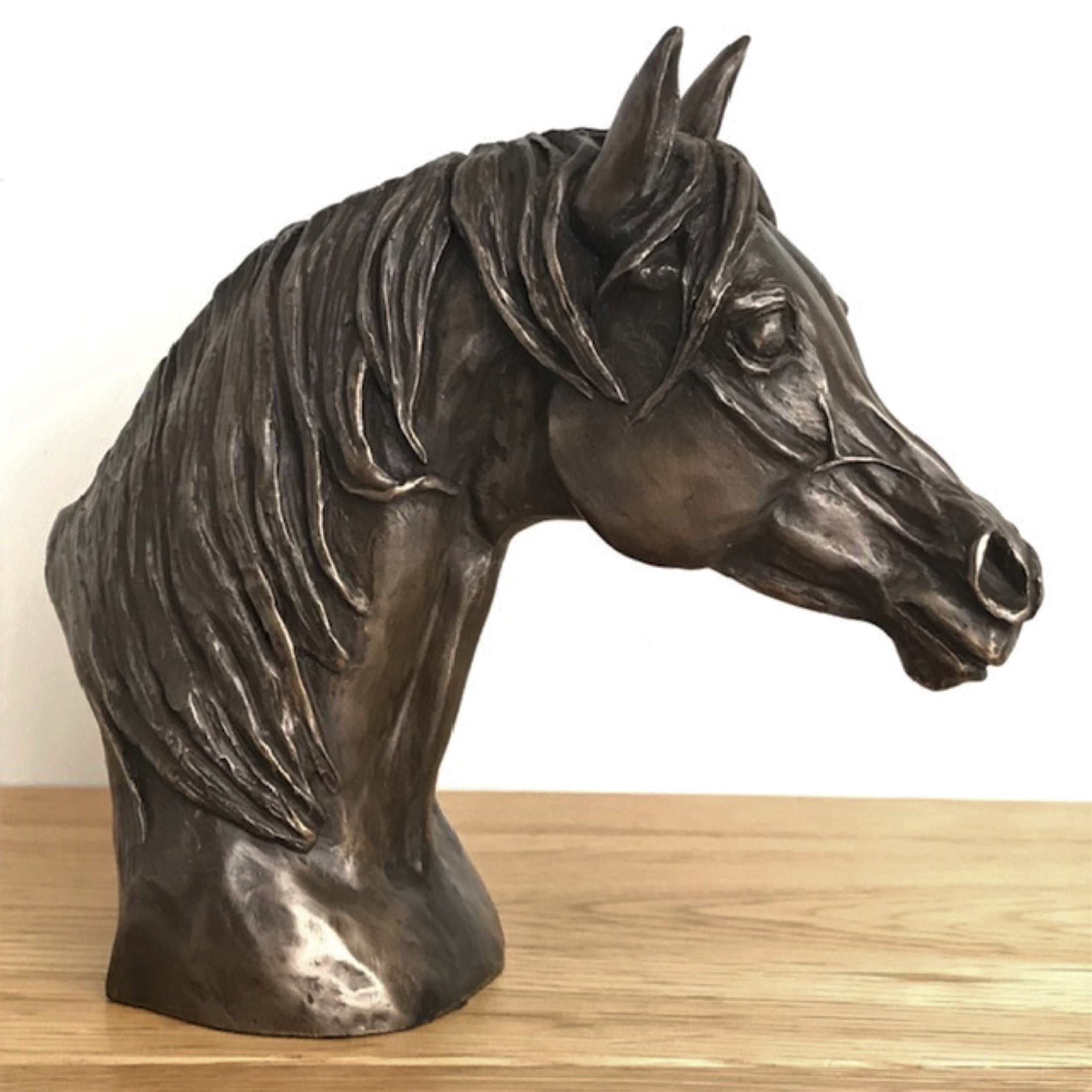 Arab Horse Head bust in Cold Cast Bronze by Harriet Glen