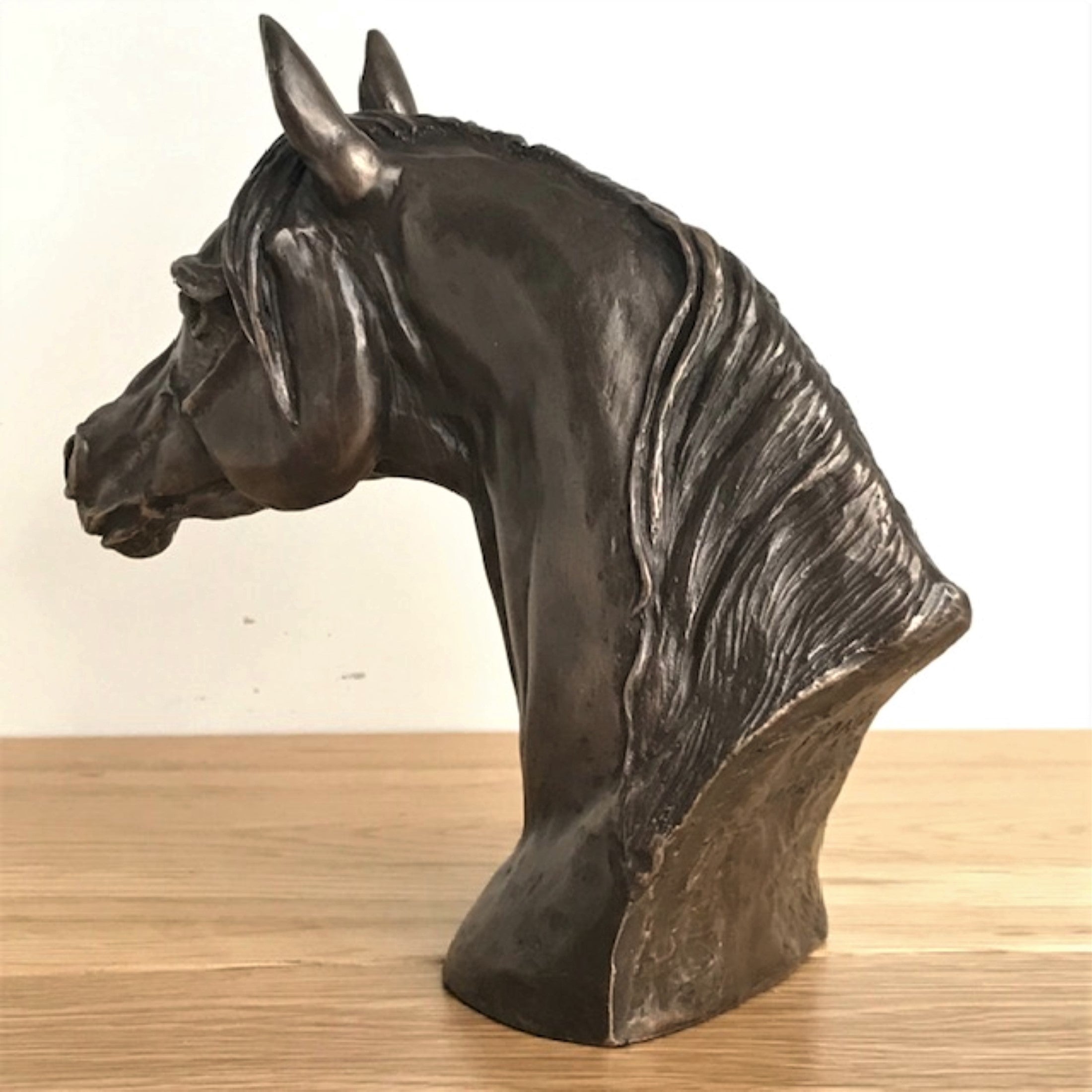 Arab Horse Head bust in Cold Cast Bronze by Harriet Glen