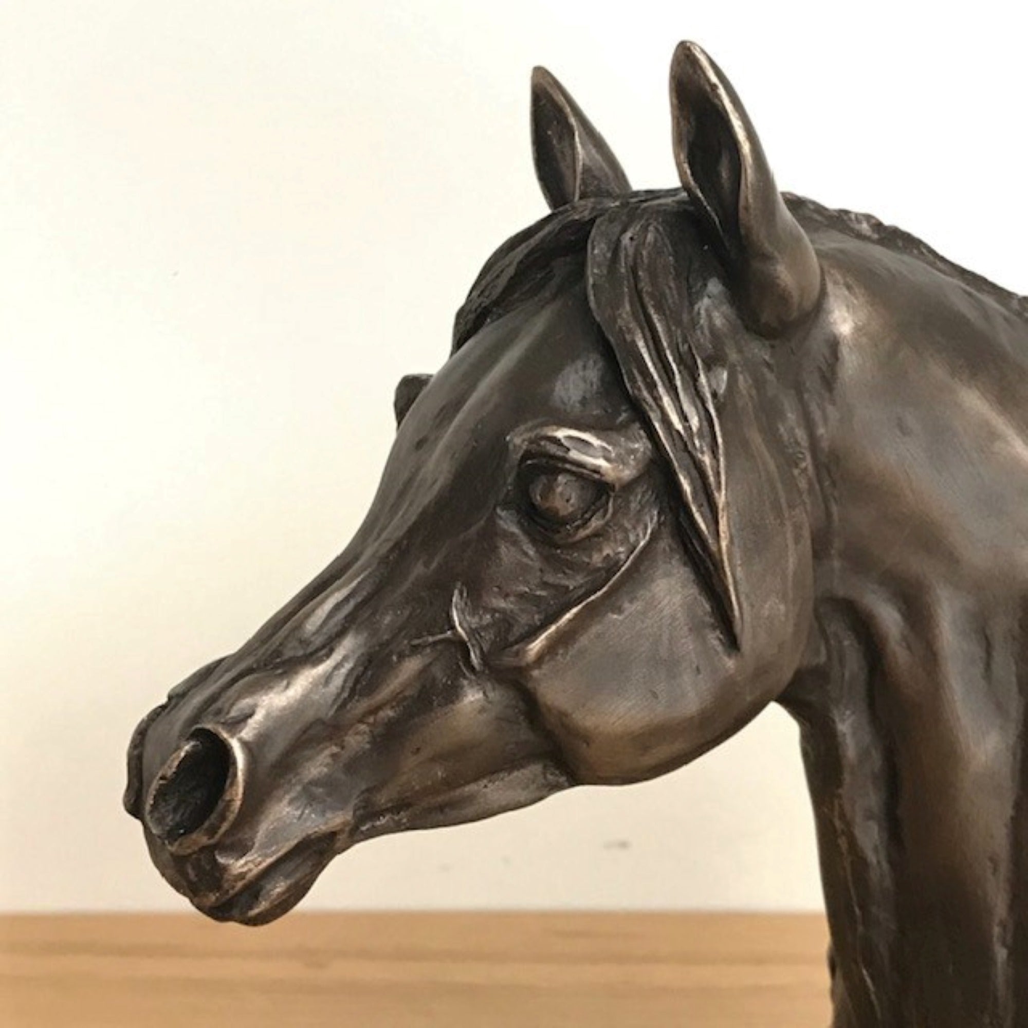 Arab Horse Head bust in Cold Cast Bronze by Harriet Glen