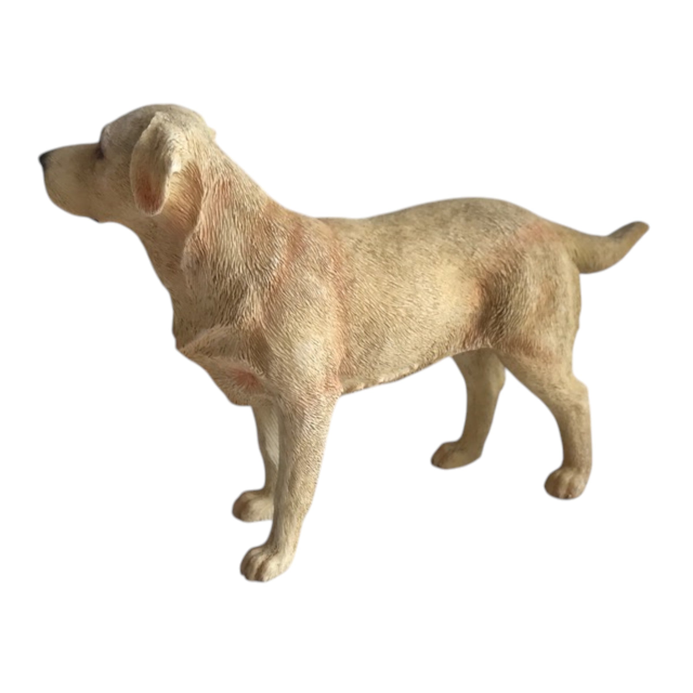 Standing Leonardo Golden Labrador ornament figurine decoration, Gift boxed