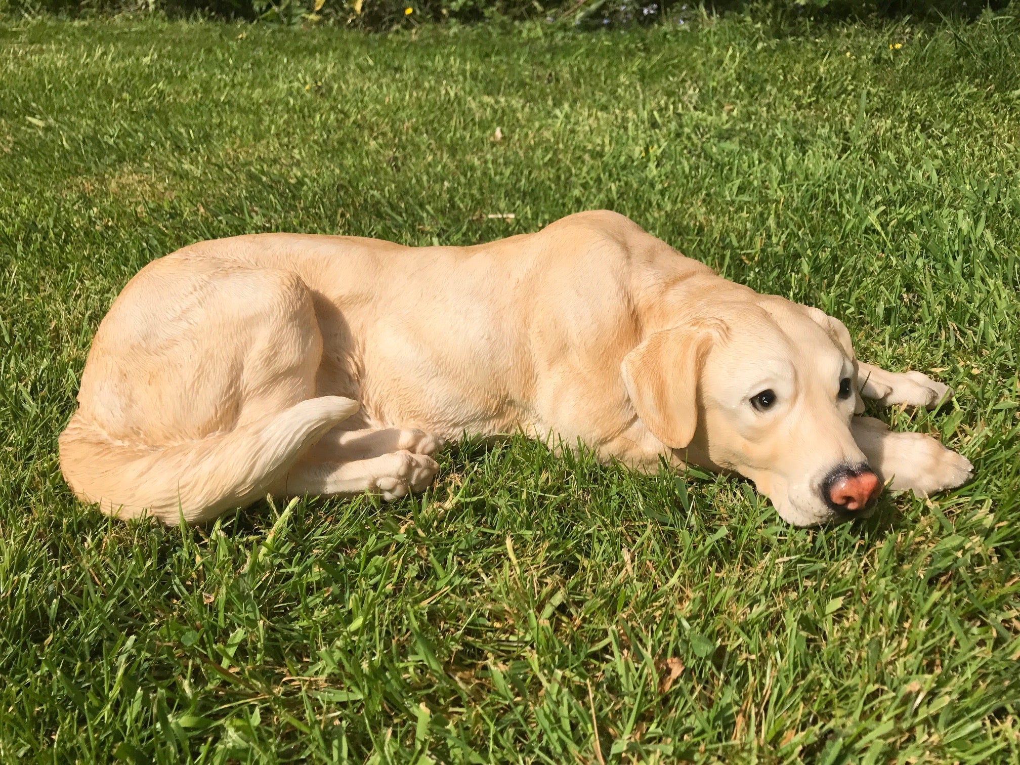 Golden Labrador large (44cm long) realistic indoor outdoor garden ornament memorial