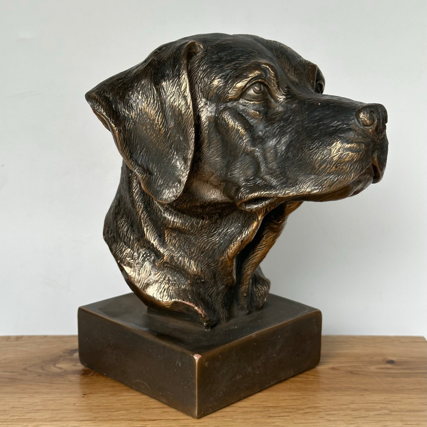 Heavy bronze effect Labrador head bust ornament, Dog lover collectable