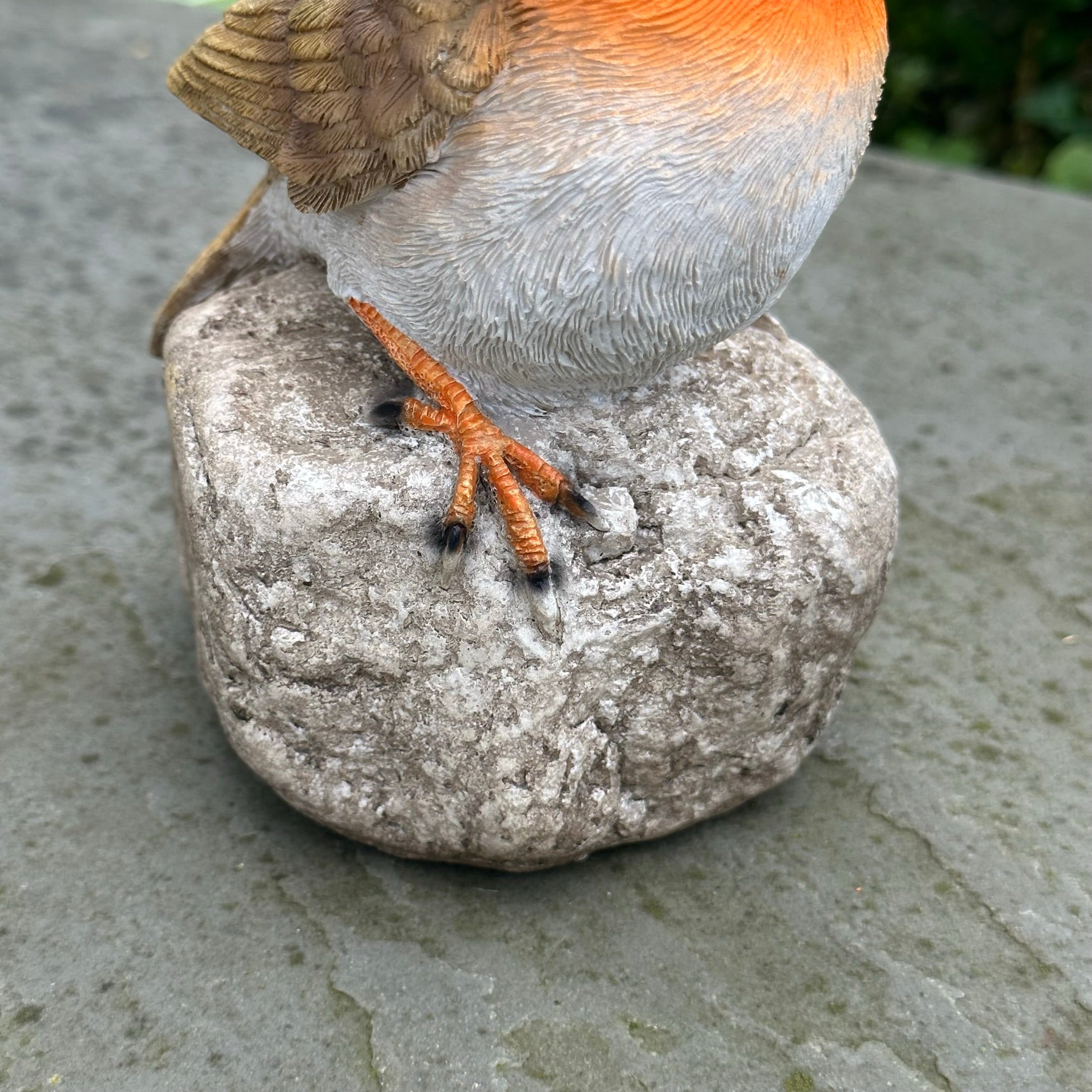Remembrance Robin with 'When I Appear Your Loved Ones Are Near' sign memorial ornament bird lover gift
