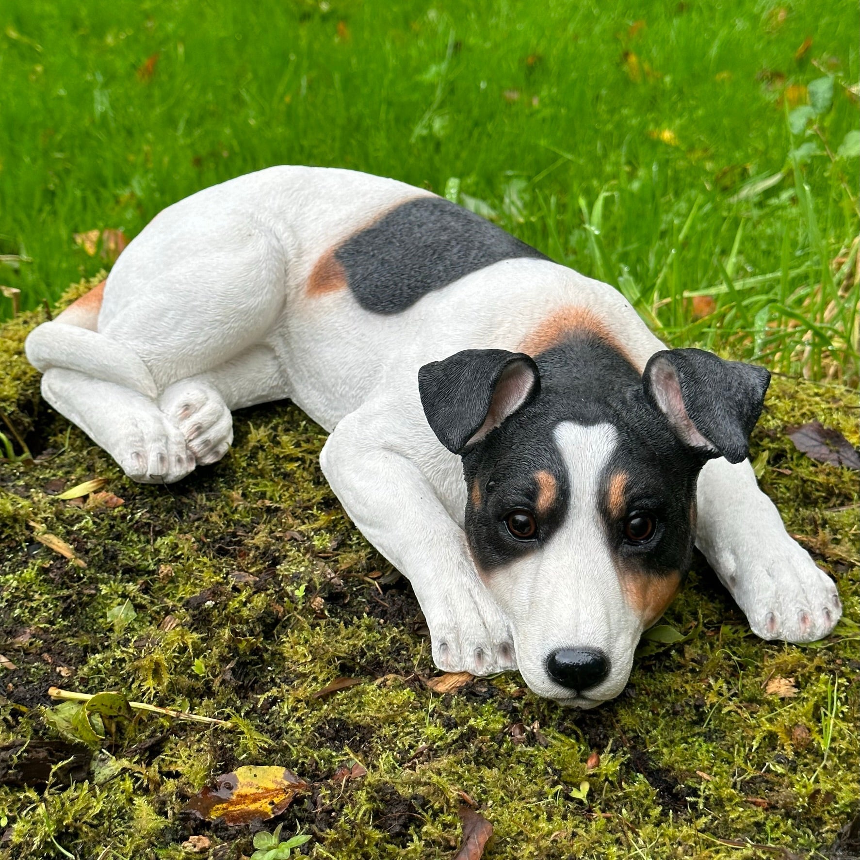 Jack Russell laying figurine, large 46cm ornament, idea memorial, grave marker or garden decoration